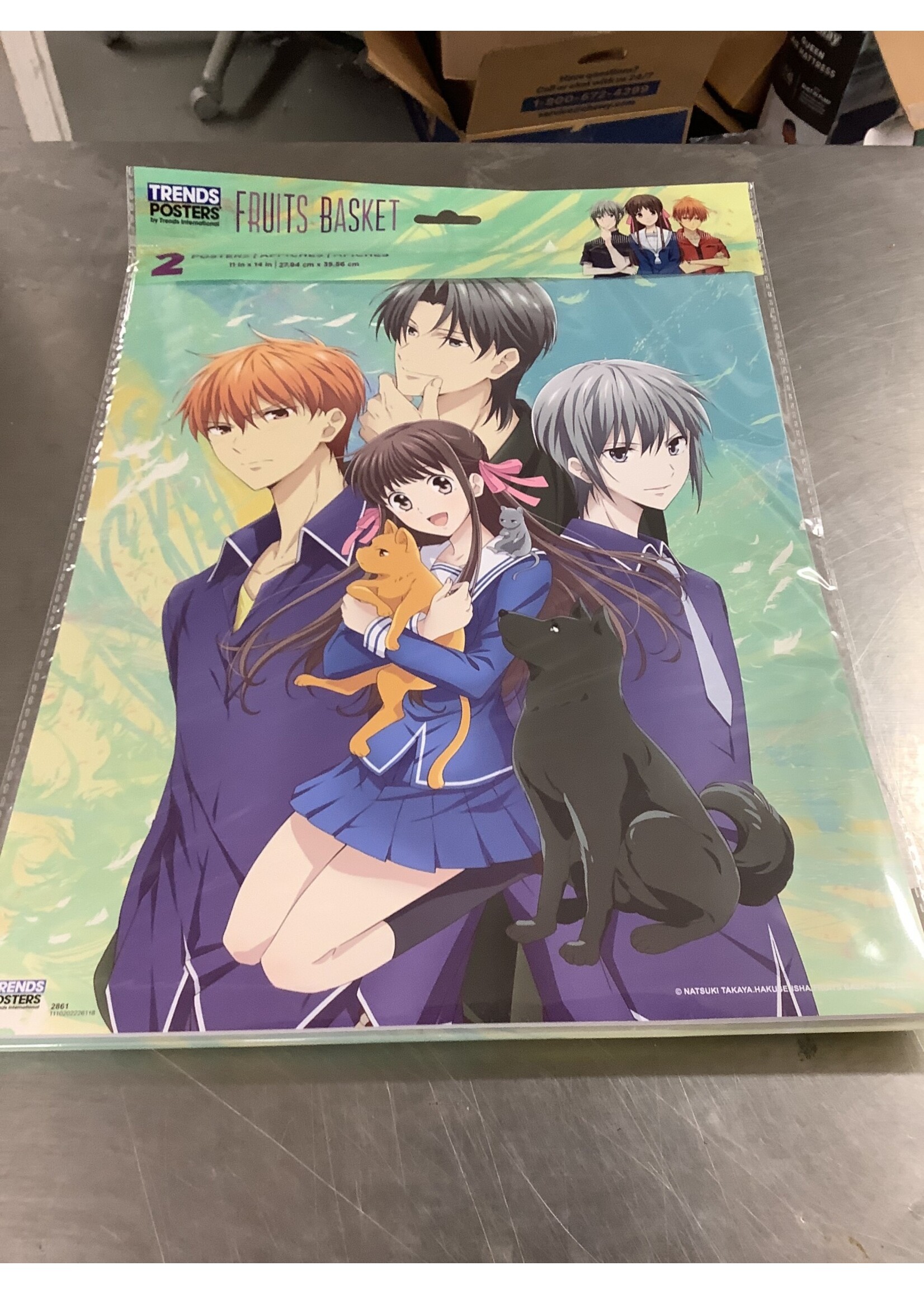 Trends International Fruits Basket Poster 2 Poster Pack 11 in. x 14 in.