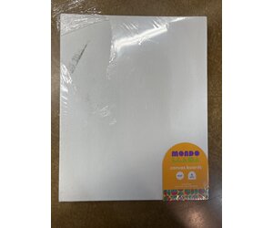 6pk 8x10 Canvas Boards - Mondo Llama™