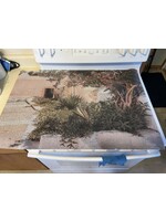 Welcome Mat w/ rubber backing (loop design) 36x24