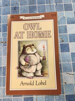 *Some Binding Damage Owl at Home Children's Book (I Can Read Level 2) Arnold Lobel