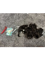 Kooka Style dark brown invisible wire