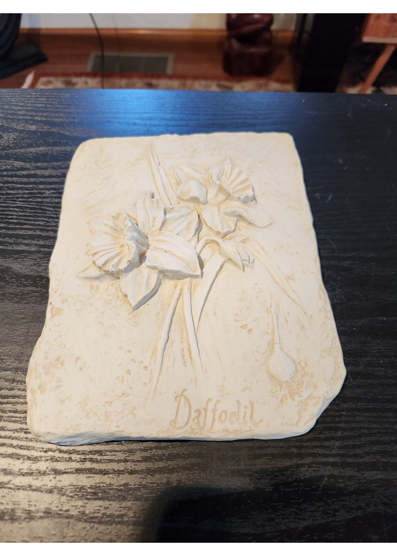 Hen-Feathers Flower Daffodil Plaque Hanging Art Picture (Resin) 6.5x8.75