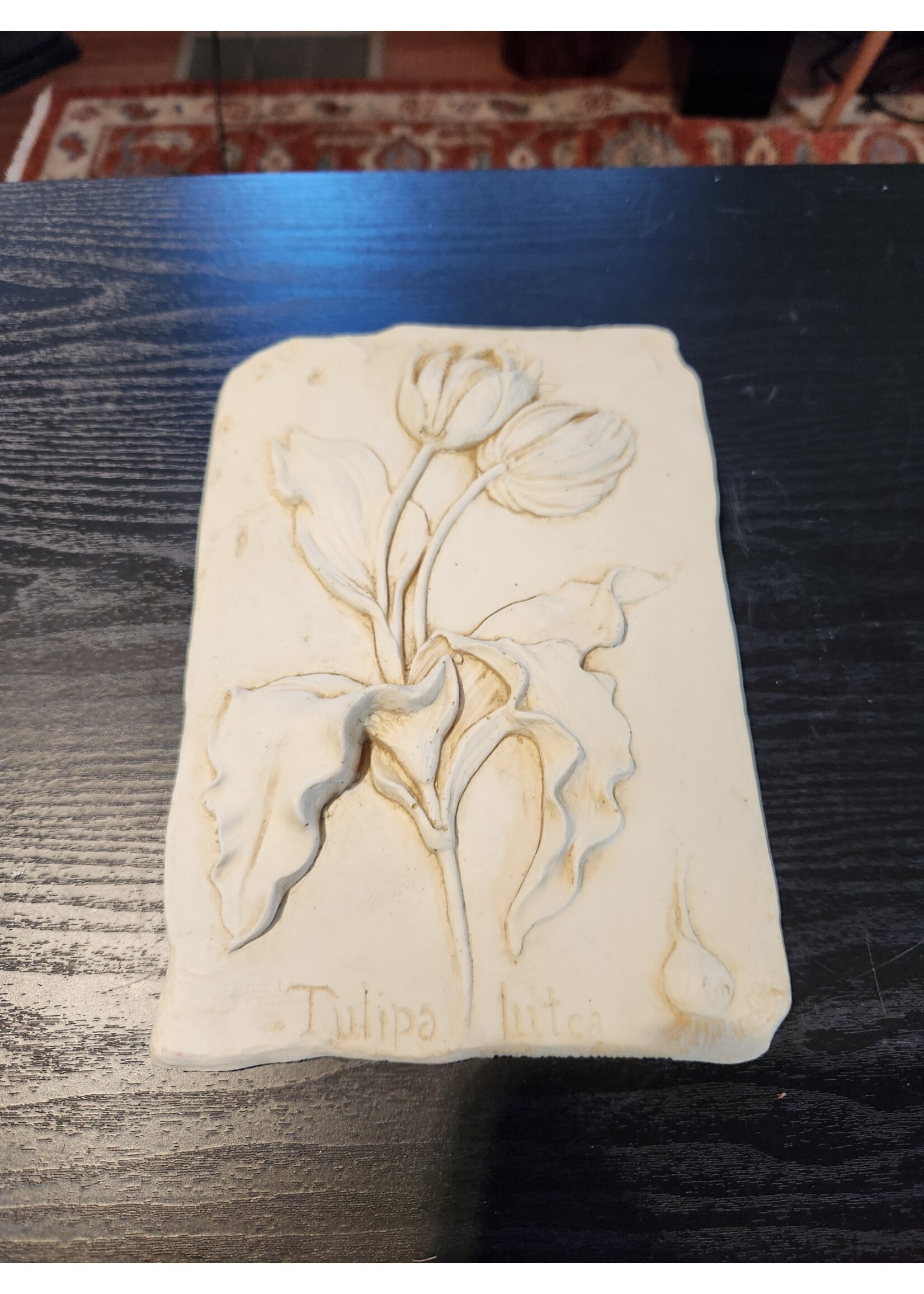 Hen Feathers - Tulipa Lutca Tulip Wall Plaque Pink Yellow Raised Relief  10x7