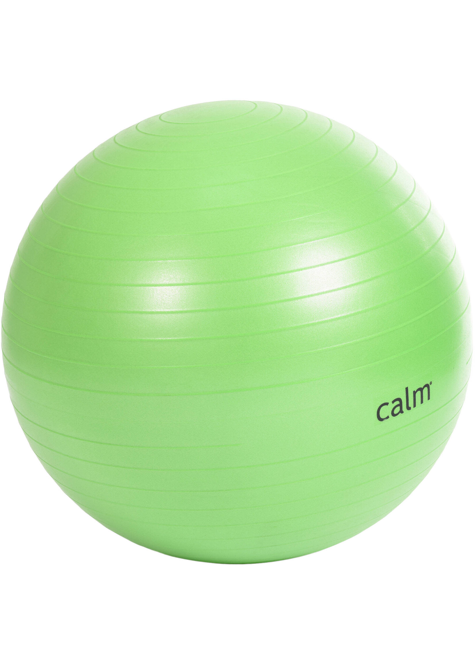 65CM Anti-Burst Exercise Ball w/ Pump Green