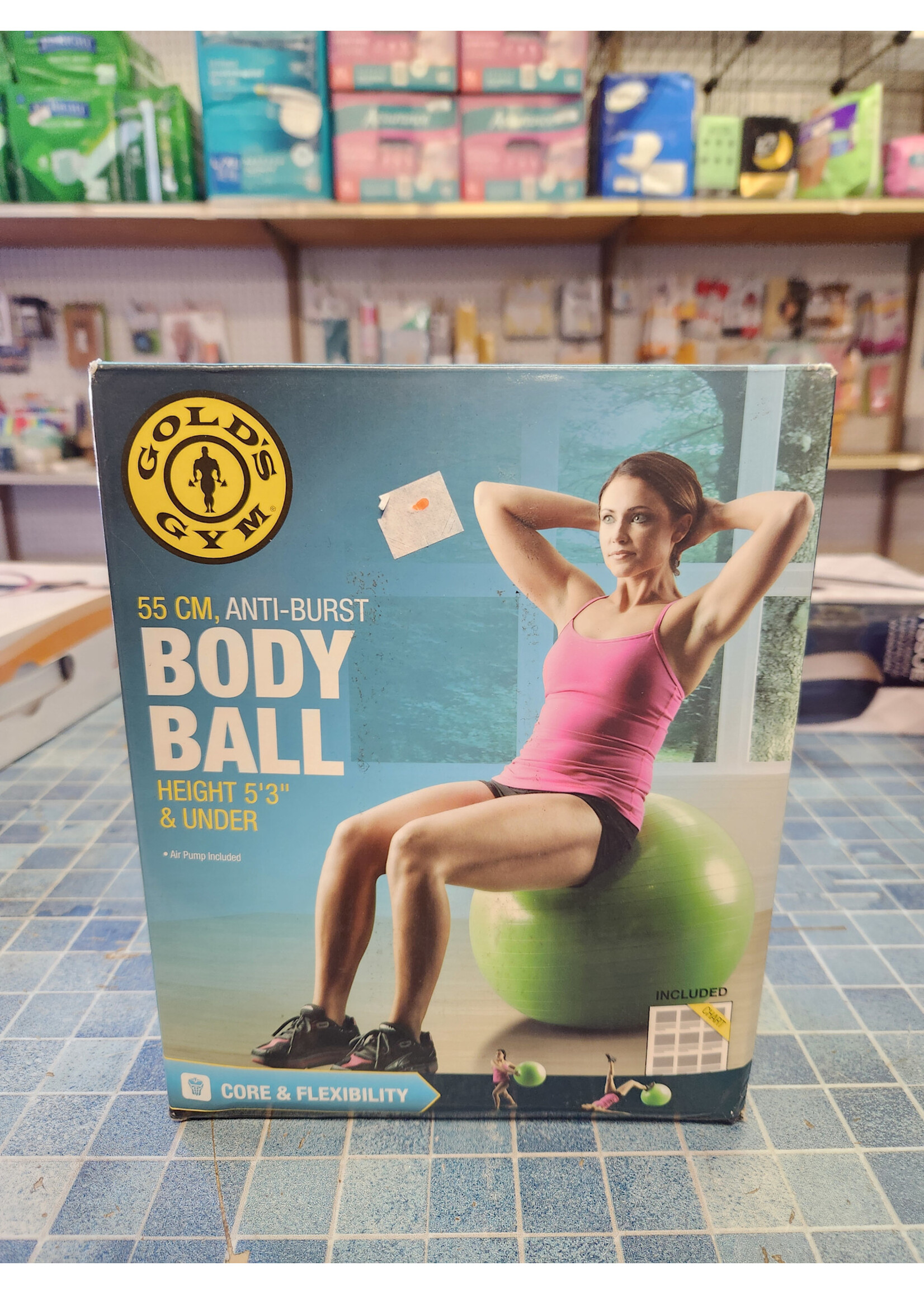 Golds Gym 55 CM EXERCISE BODY BALL with Pump