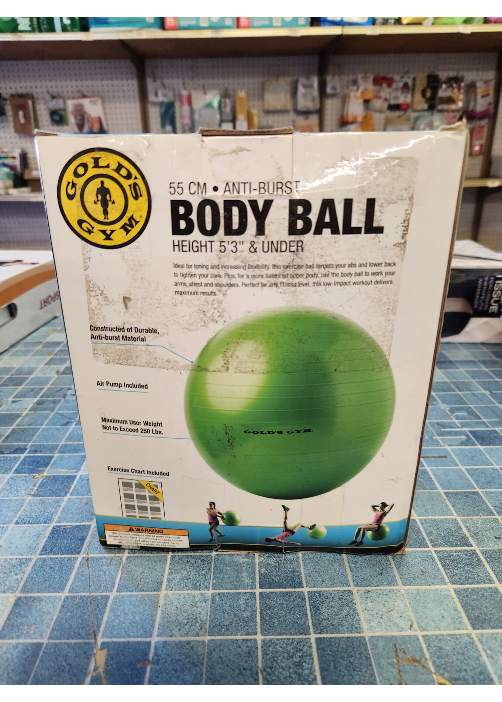 Golds Gym 55 CM EXERCISE BODY BALL with Pump