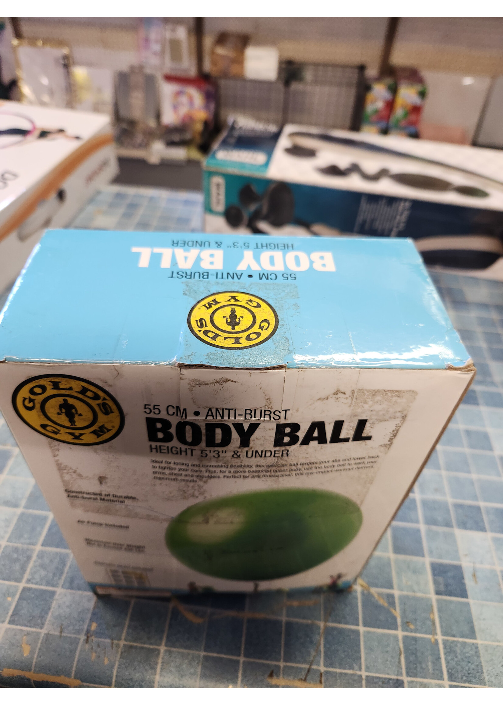 Golds Gym 55 CM EXERCISE BODY BALL with Pump