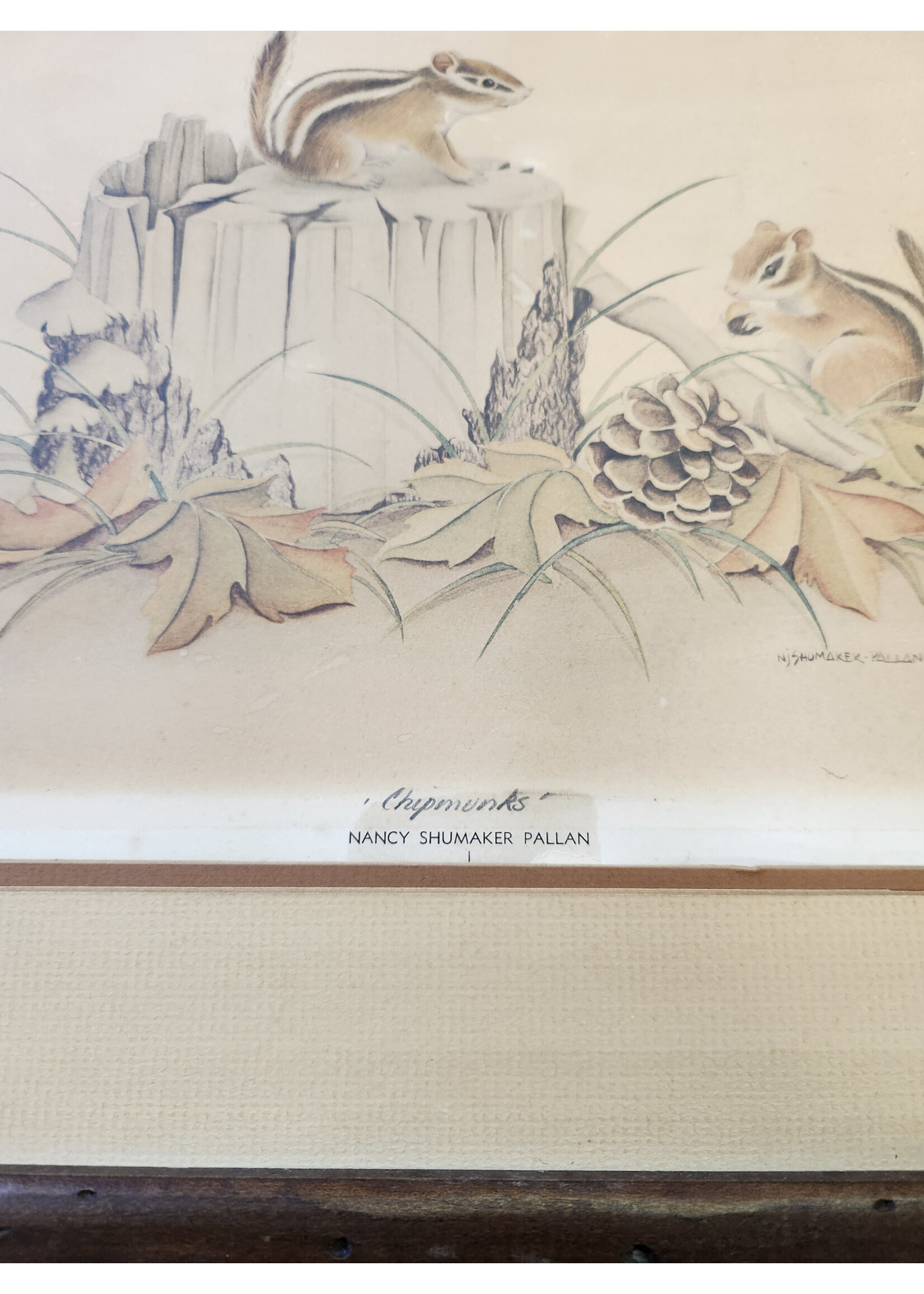 Nancy Shumaker Pallan Chipmunks Family Art Print 20/1000 Signed LE 23x19