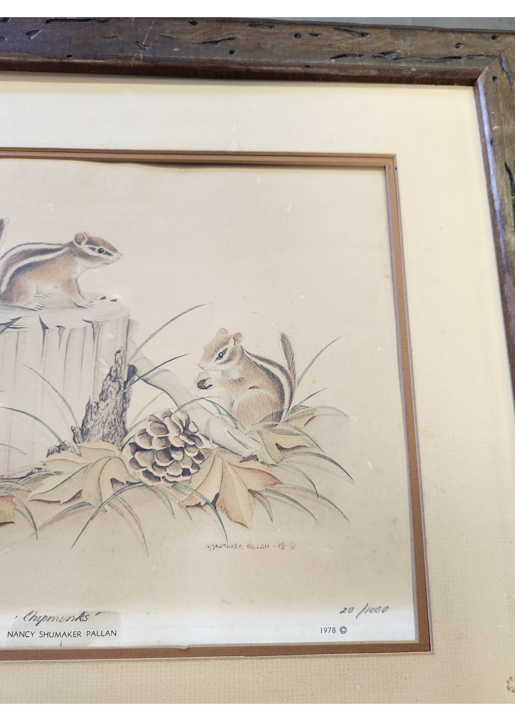 Nancy Shumaker Pallan Chipmunks Family Art Print 20/1000 Signed LE 23x19