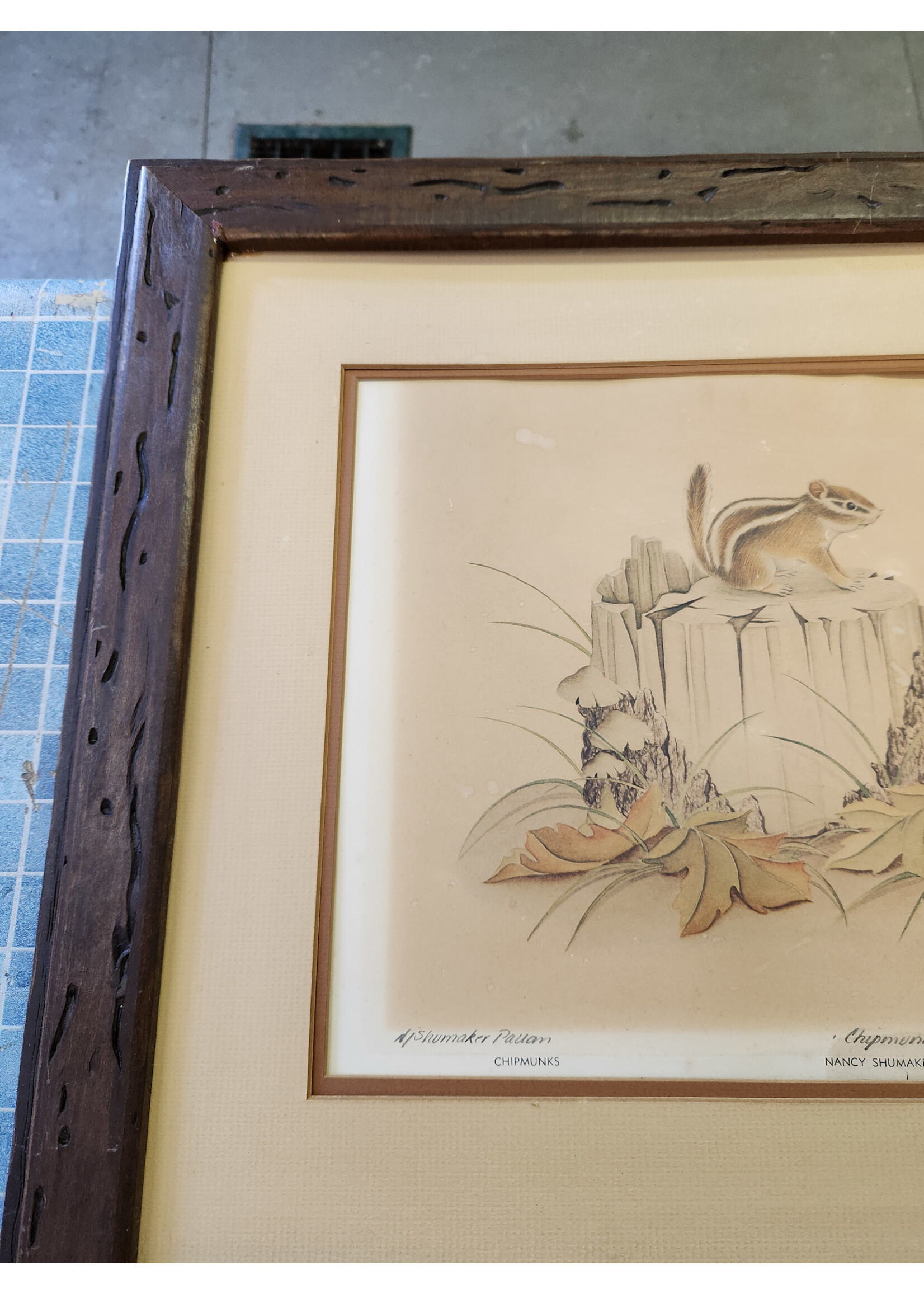 Nancy Shumaker Pallan Chipmunks Family Art Print 20/1000 Signed LE 23x19