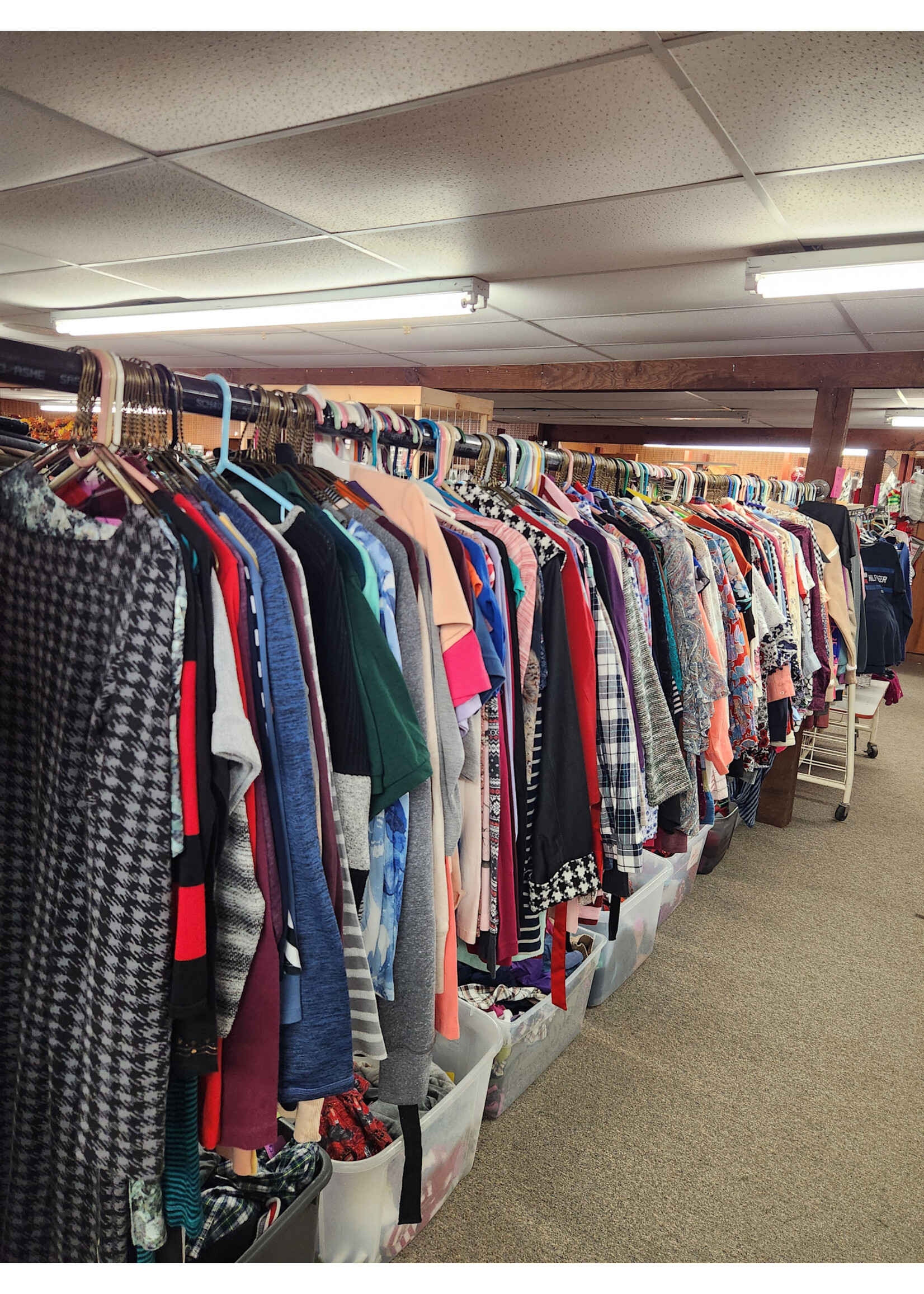 LIMITED TIME! Thrift Clothing - You Pick 15