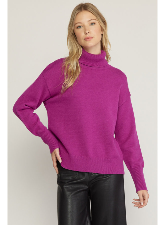 Turtleneck Solid Sweater