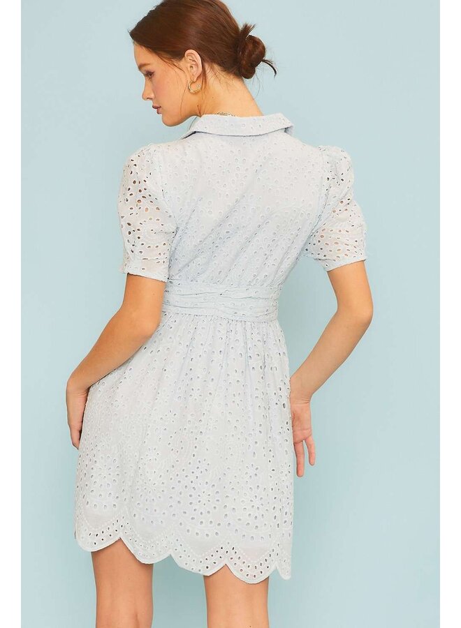 Collared Lace Mini Dress