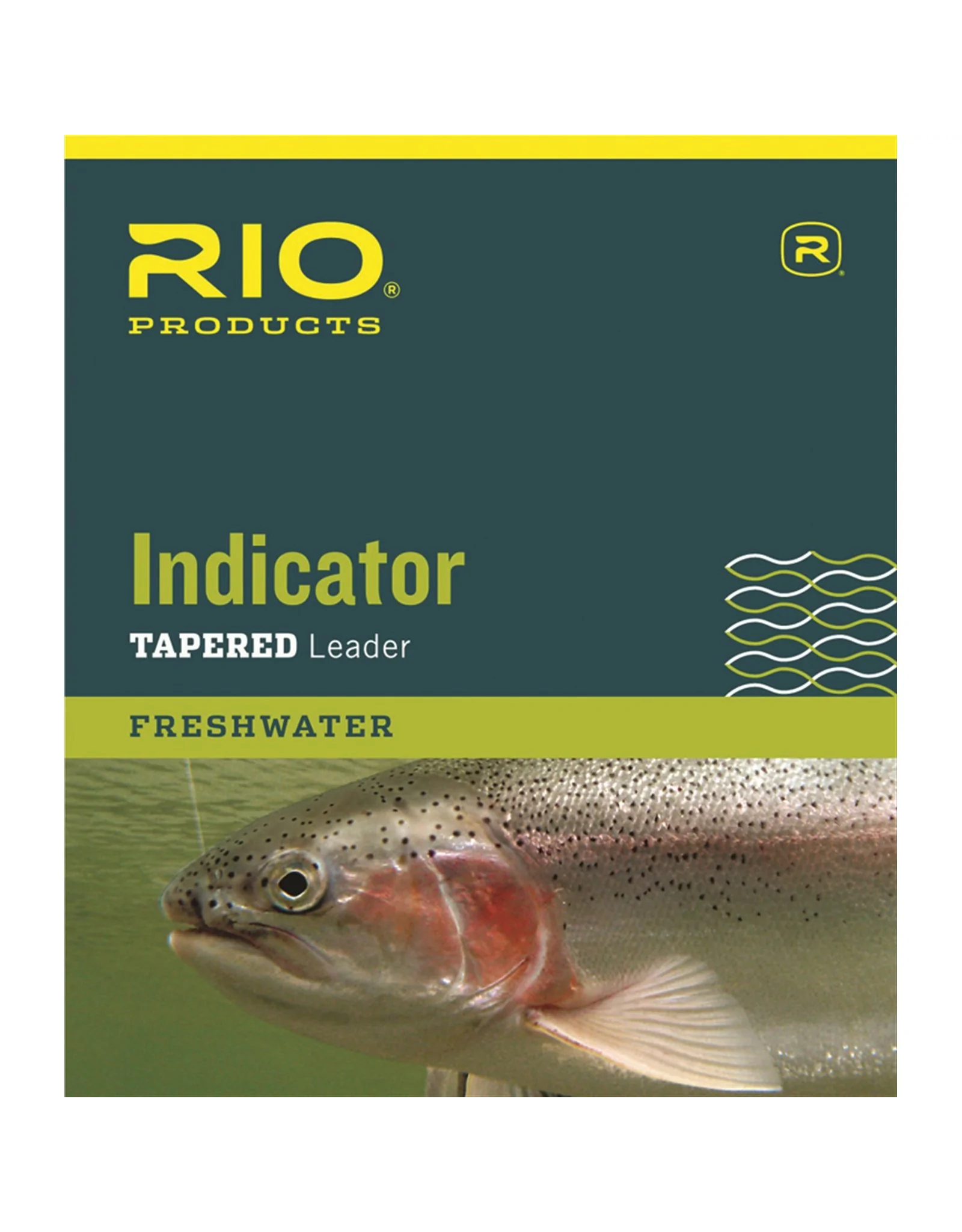 Rio Indicator Leader Golden Fly Shop
