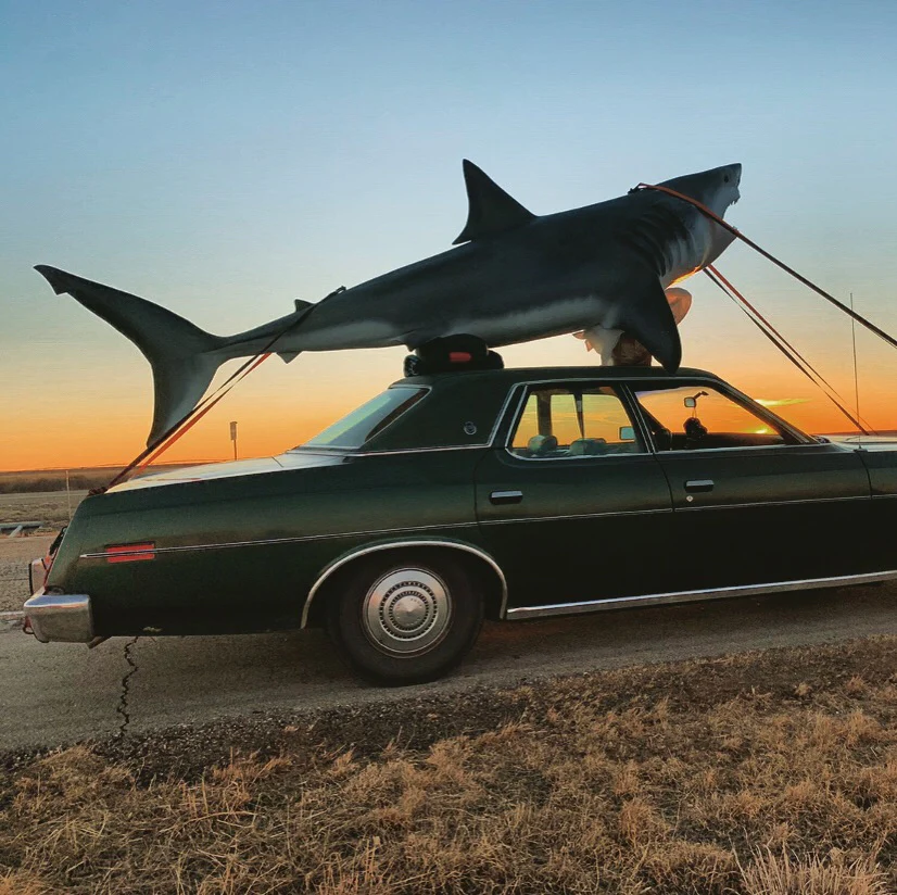 The shop shark gets a new paint-job & Guided float trips!