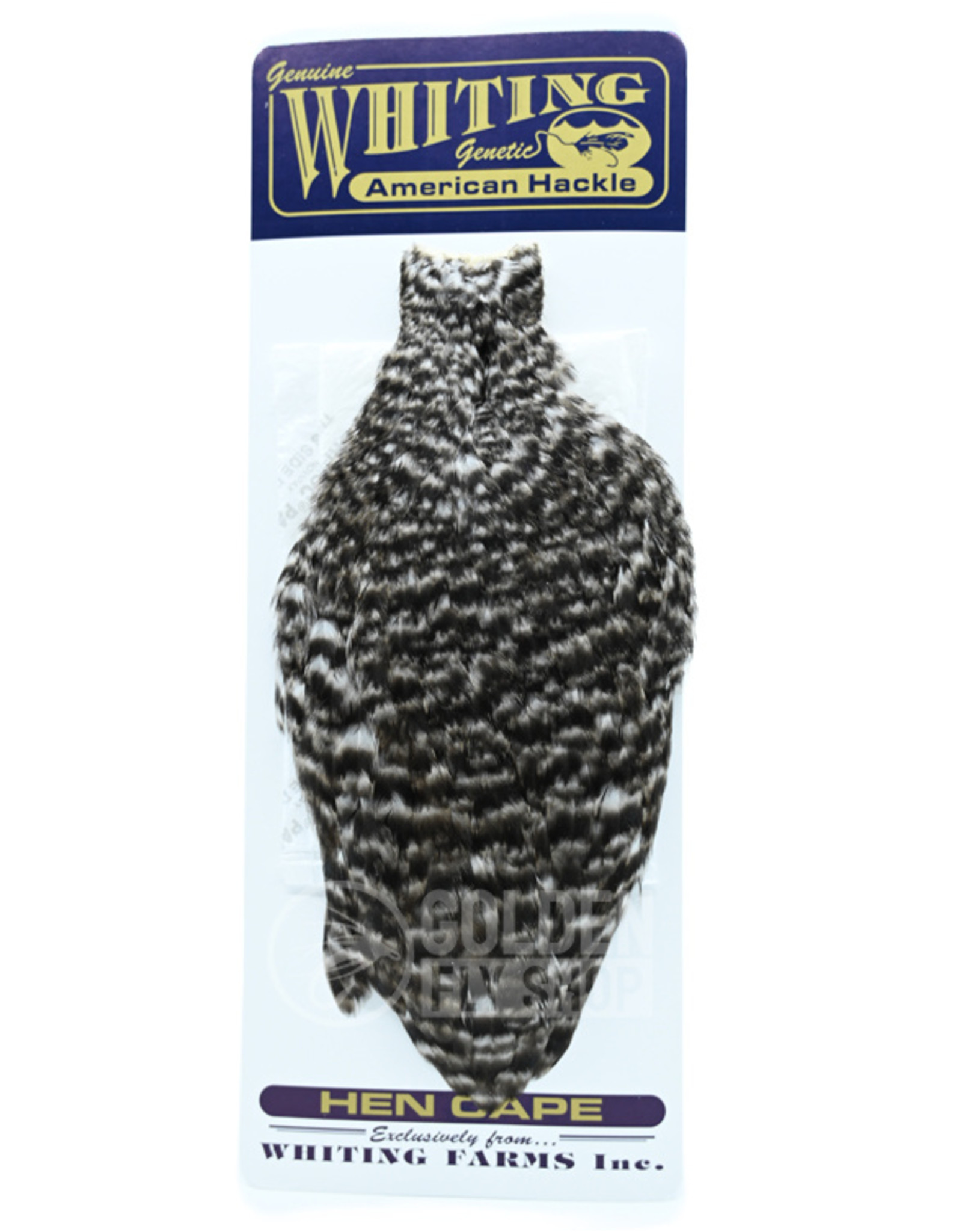 Whiting - American Hen Cape
