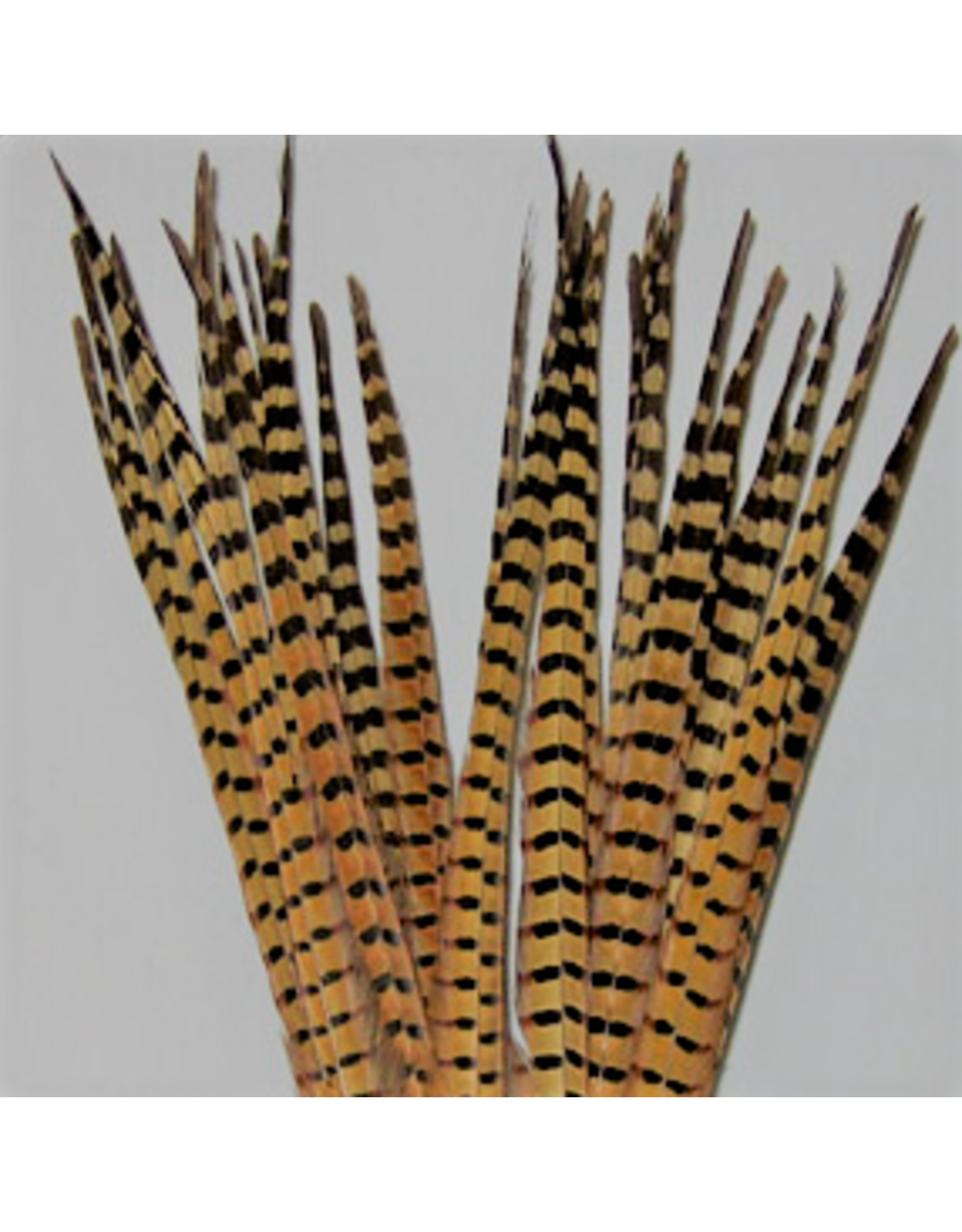 Wapsi Wapsi - Ringneck Pheasant Tail Feathers