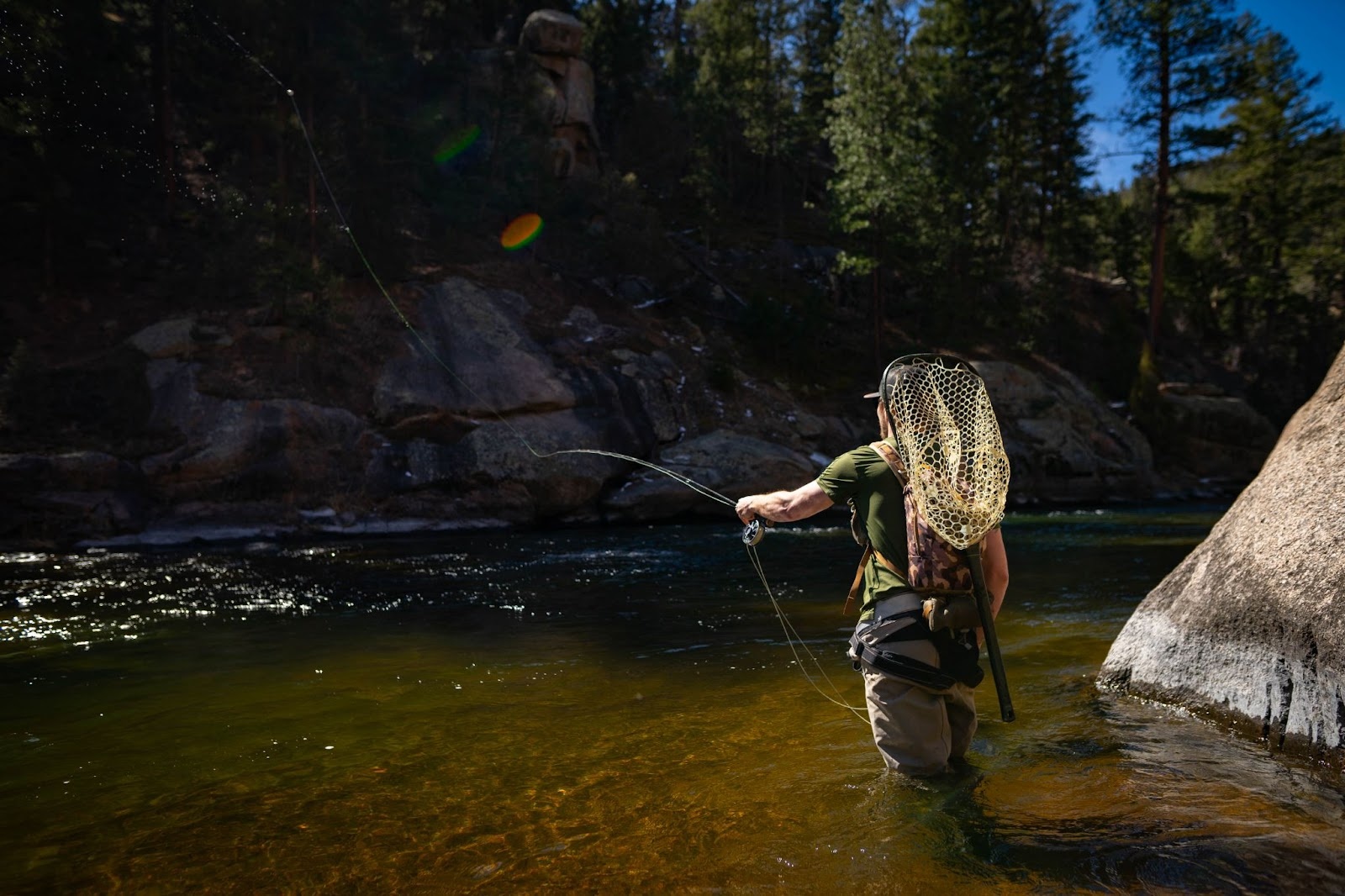 April Setup of the Month: BWO Perfection