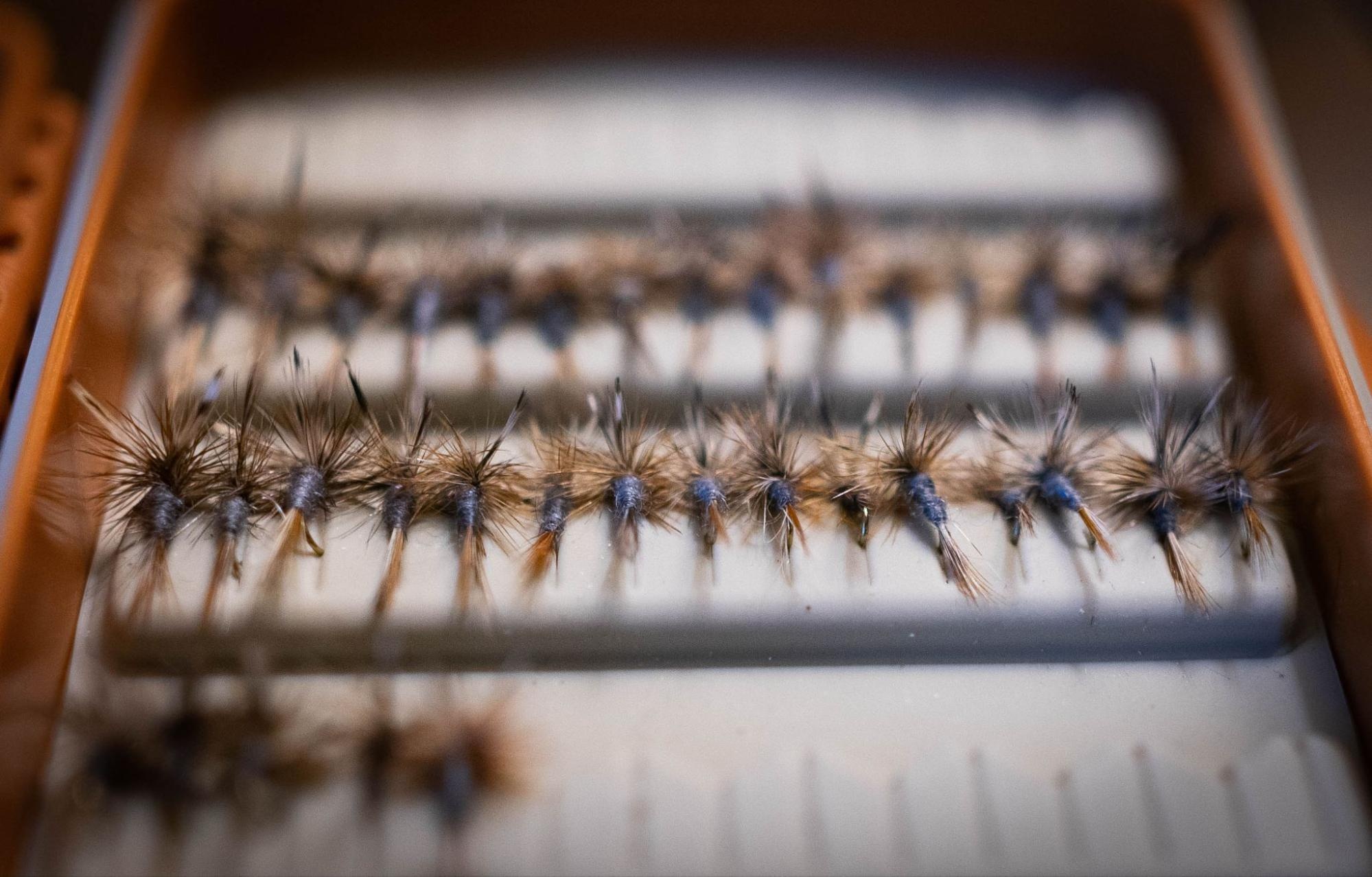 Famous Fly History 2: Adams