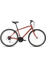 Raleigh Detour 3 x-LRG 21 BRN