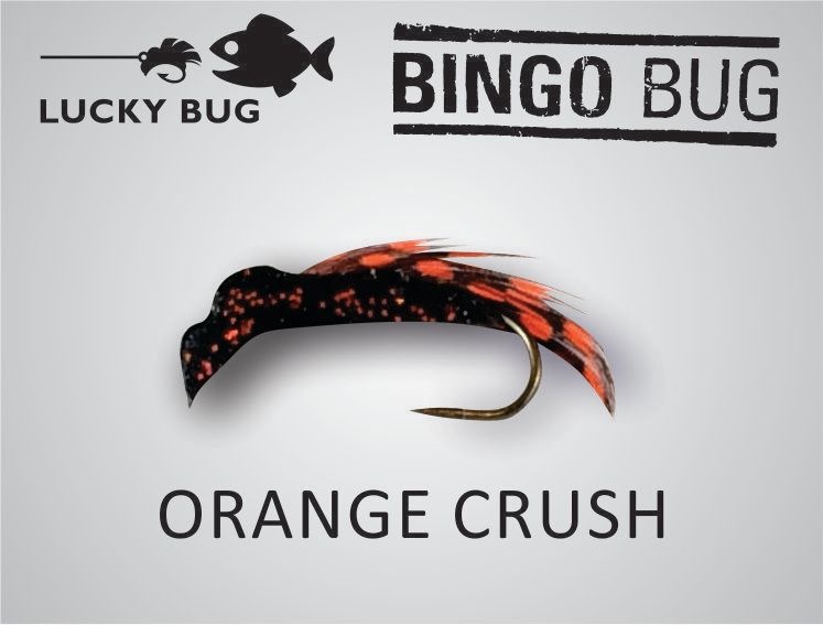 Bingo Bug Lures