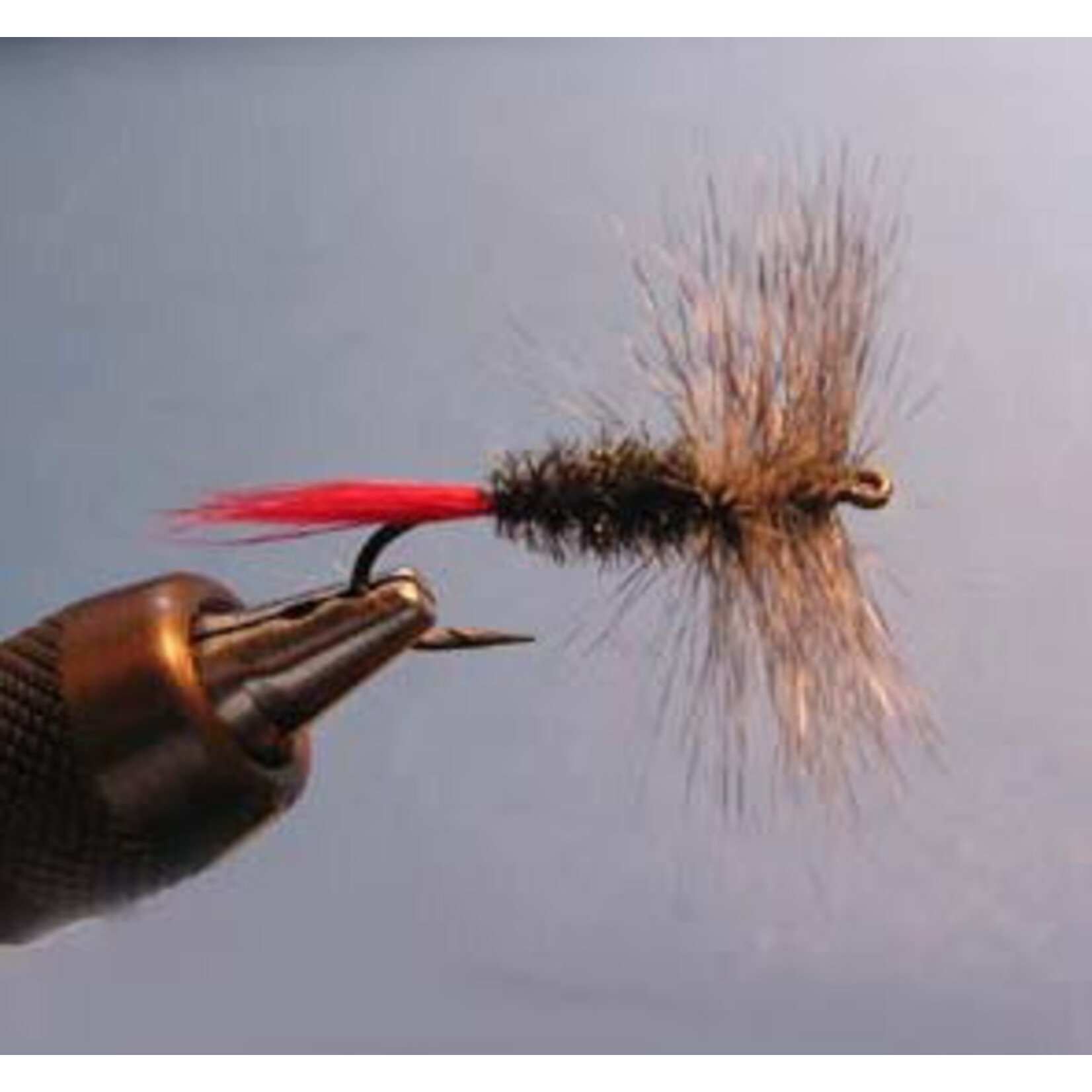 South Bend South Bend Gray Hackle