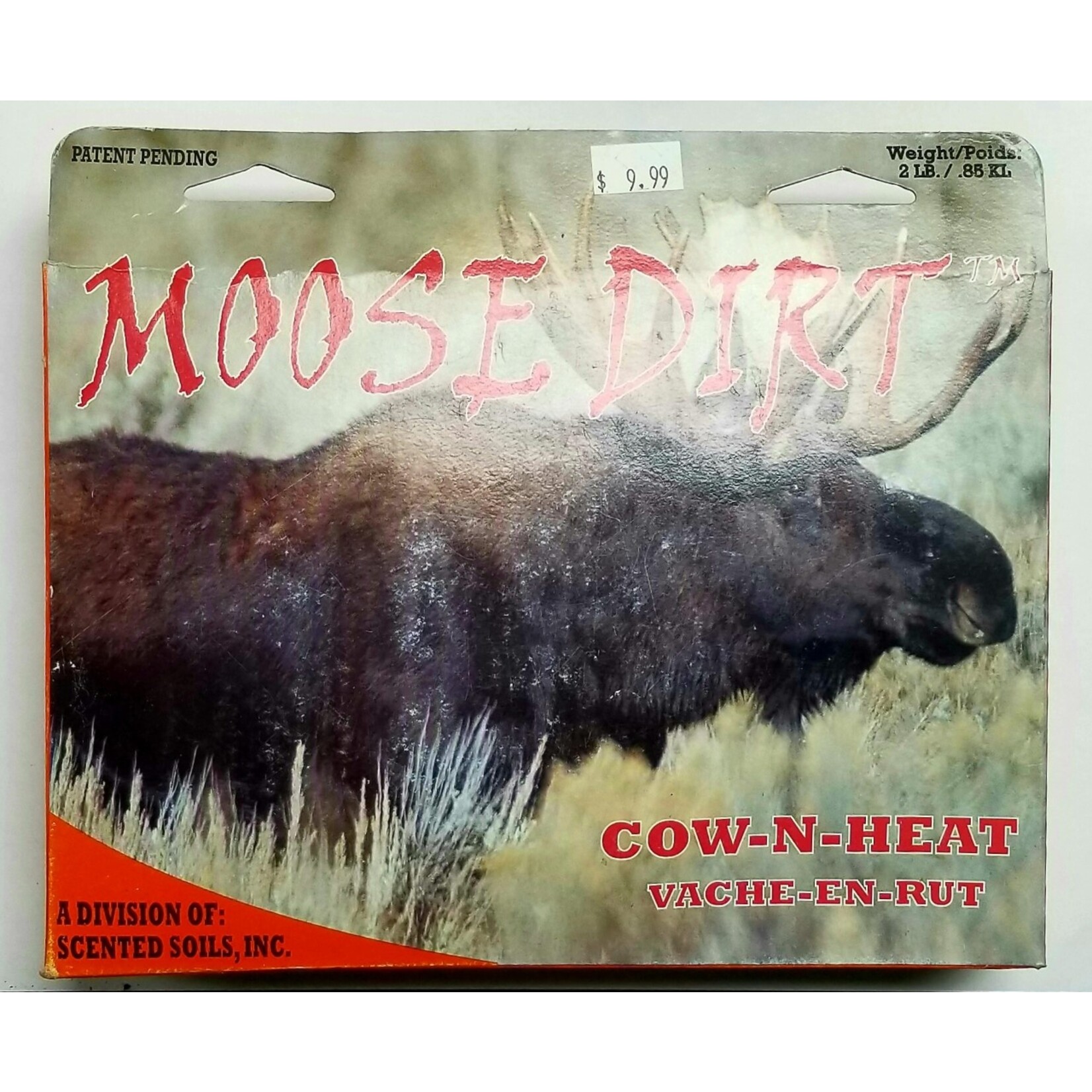 Moose Dirt Cow in Heat