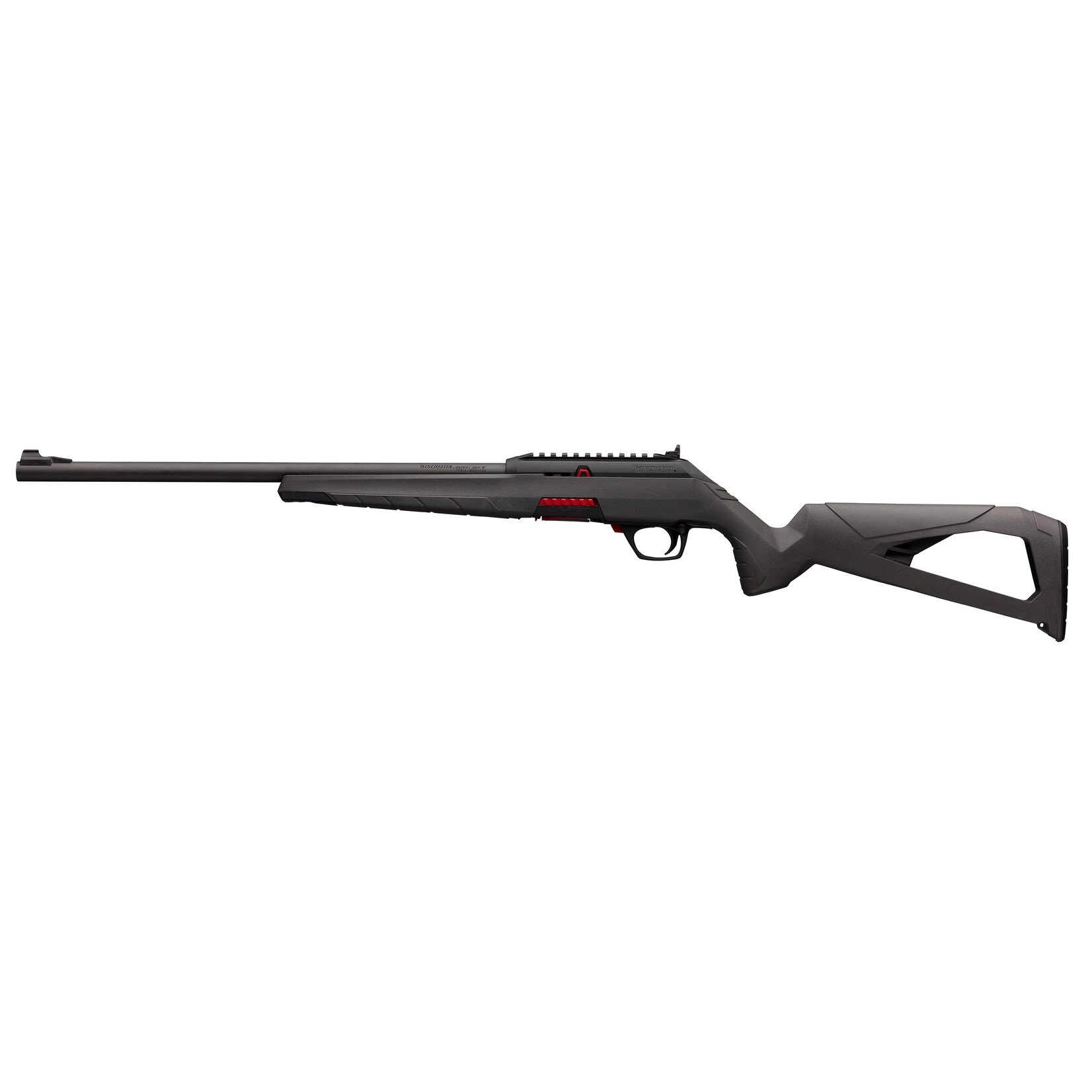 Winchester 22 lr  -  Winchester Wildcat Black