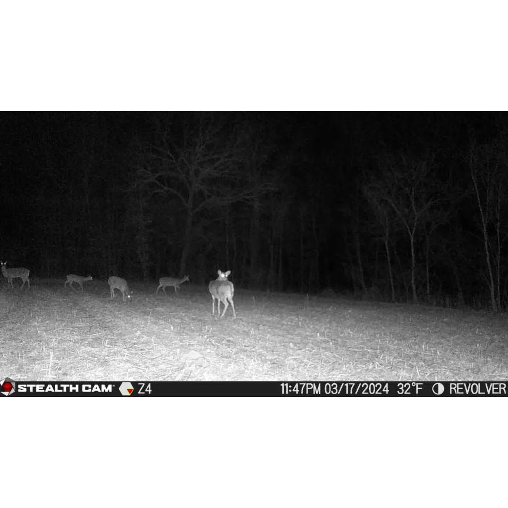 Stealth Cam Stealth Cam Revolver 360 Degree Trail Camera