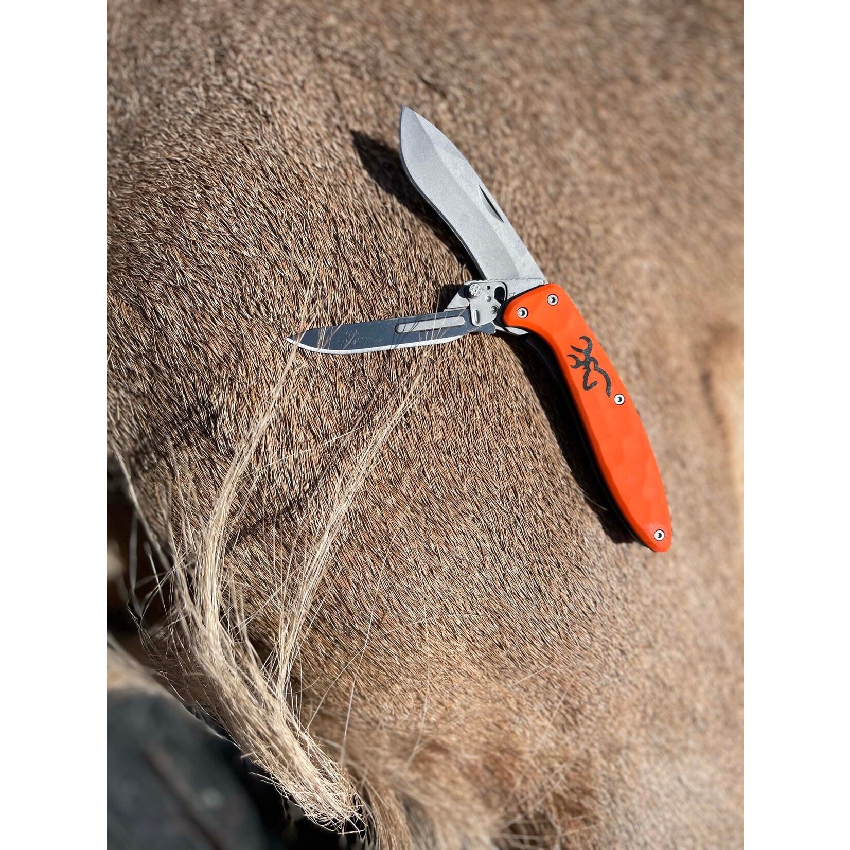 Browning Browning Primal Scalpel 2 Blade  Knife - Orange