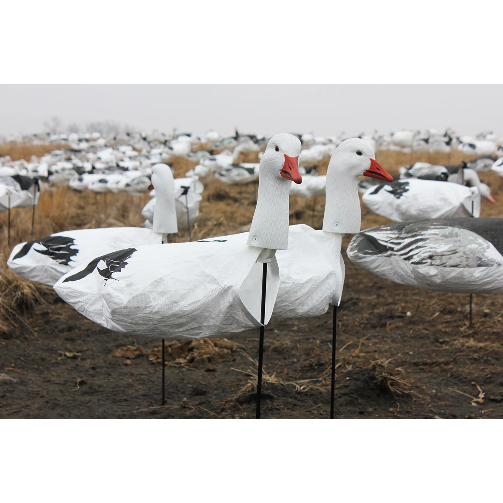 Goose Harvester Decoy Pack with Bag