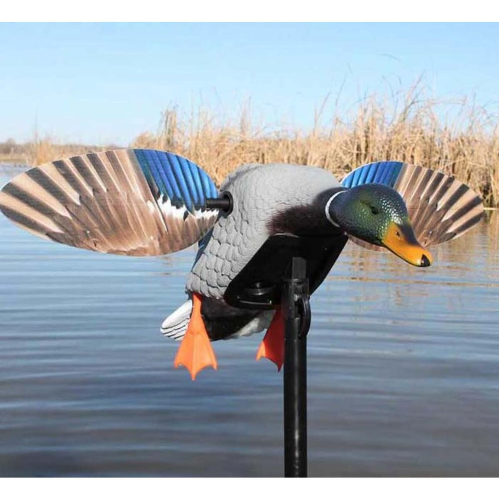 Mojo Outdoors Mojo Elite Mini Mallard Drake w/ Remote