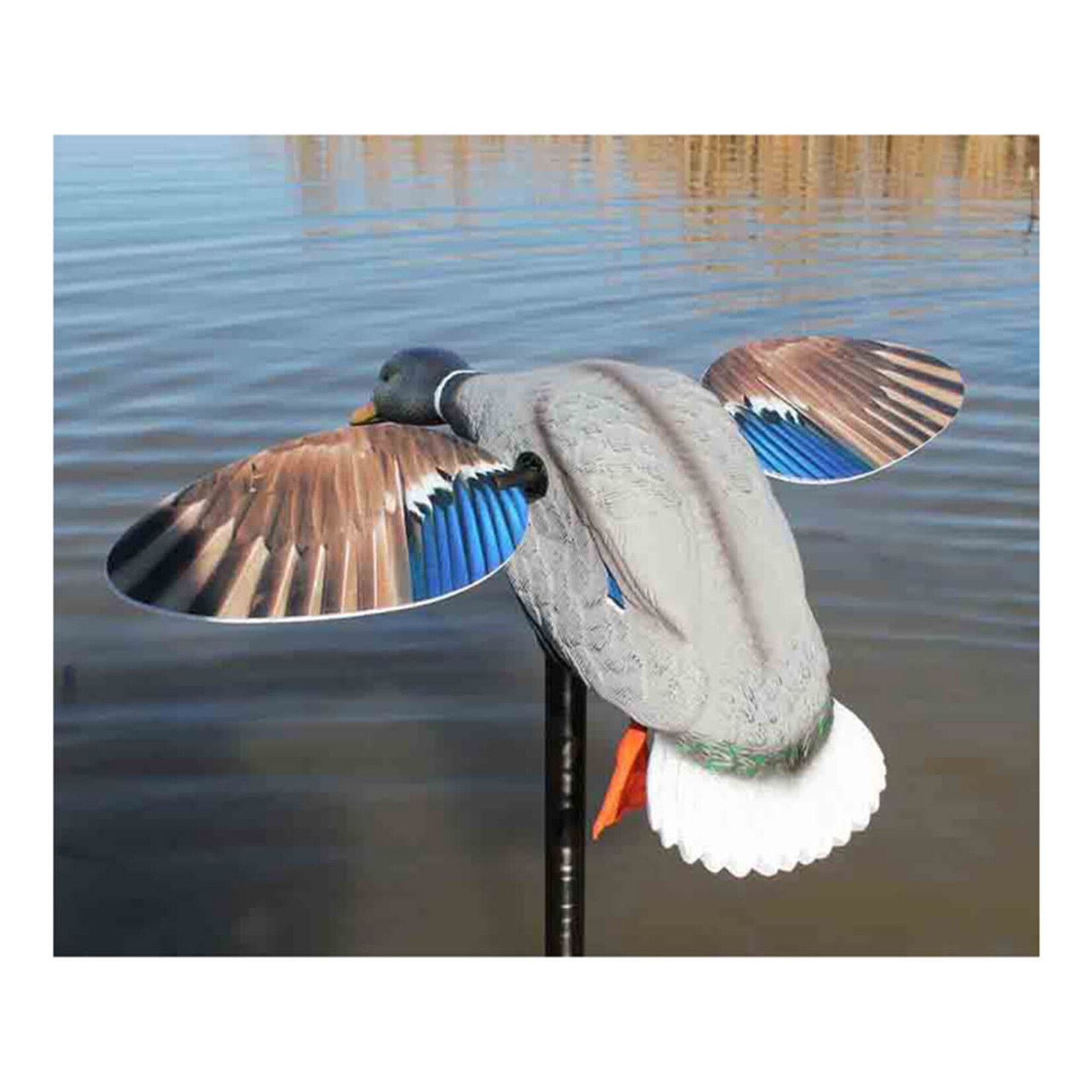 Mojo Outdoors Mojo Elite Mini Mallard Drake w/ Remote
