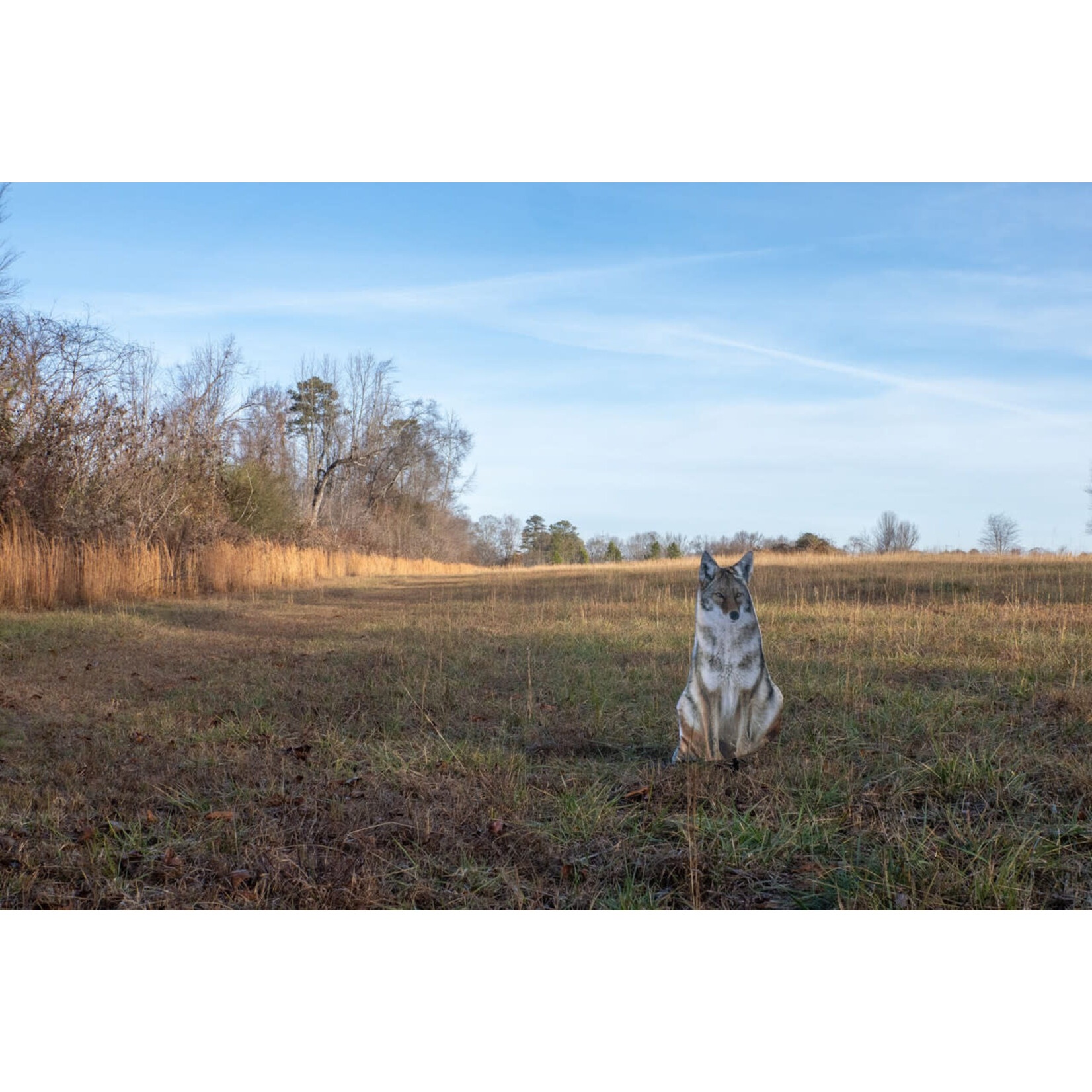 Montana Decoy Co. Montana Decoy Sitting Coyote Decoy