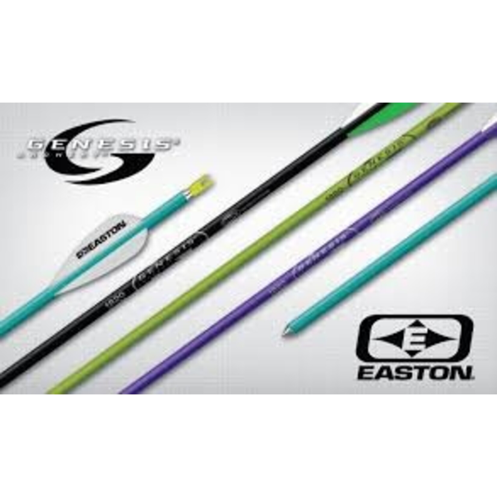 Easton Easton Genesis Arrows 1820 - 6pk