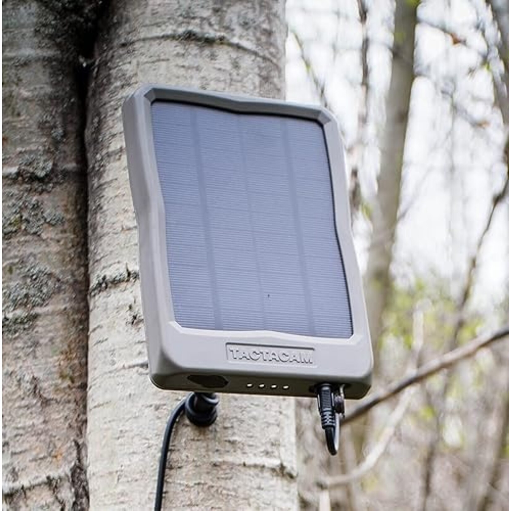 Tactacam Tactacam Armored Solar Cable
