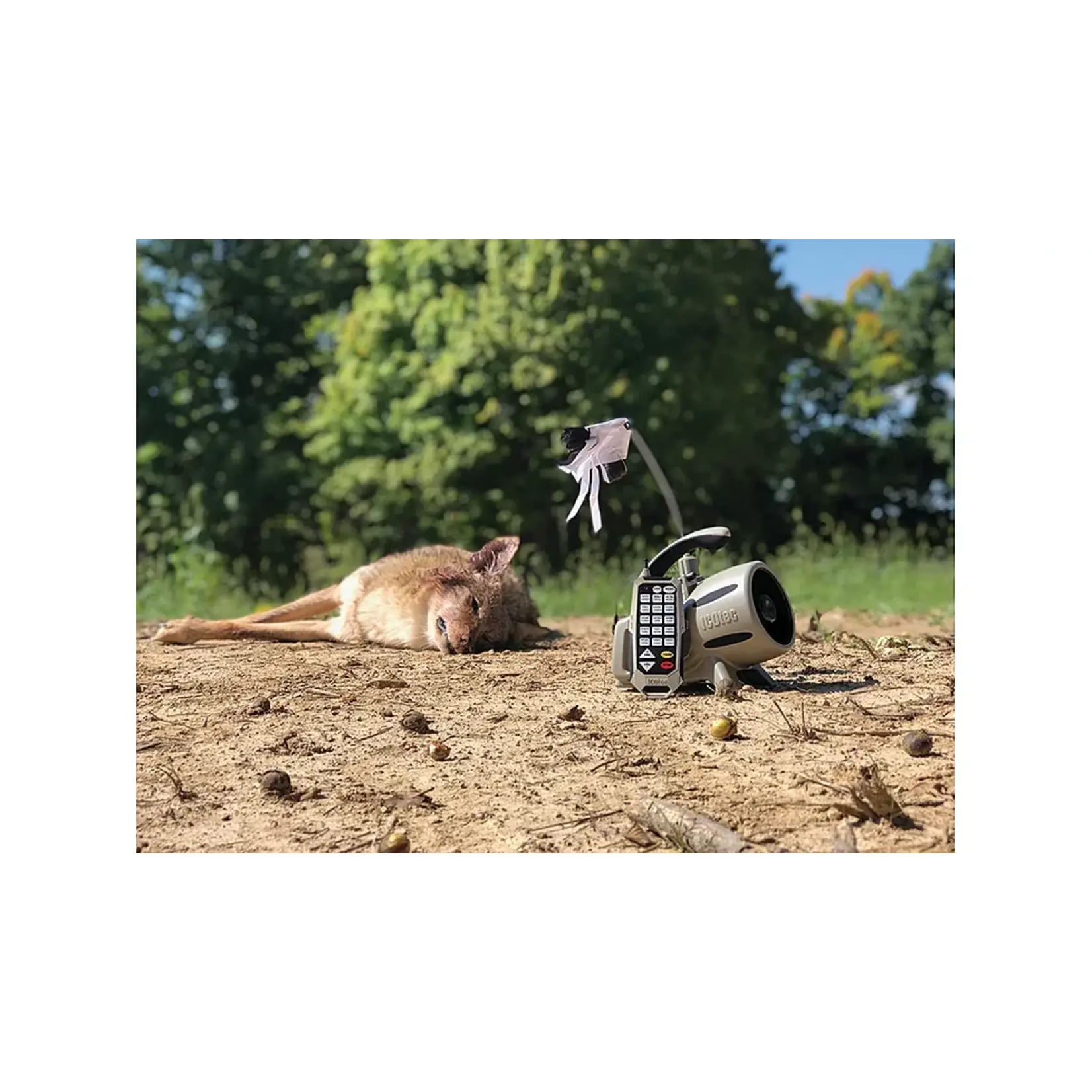 ICOtec Icotec 320+ Electric Predator Call With Decoy