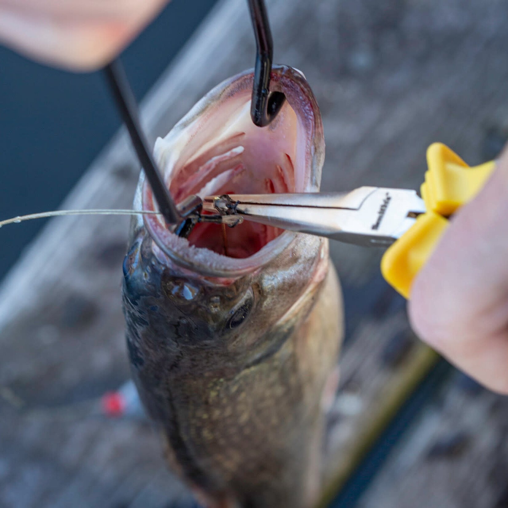 South Bend South Bend  Fish Mouth Spreader 9"