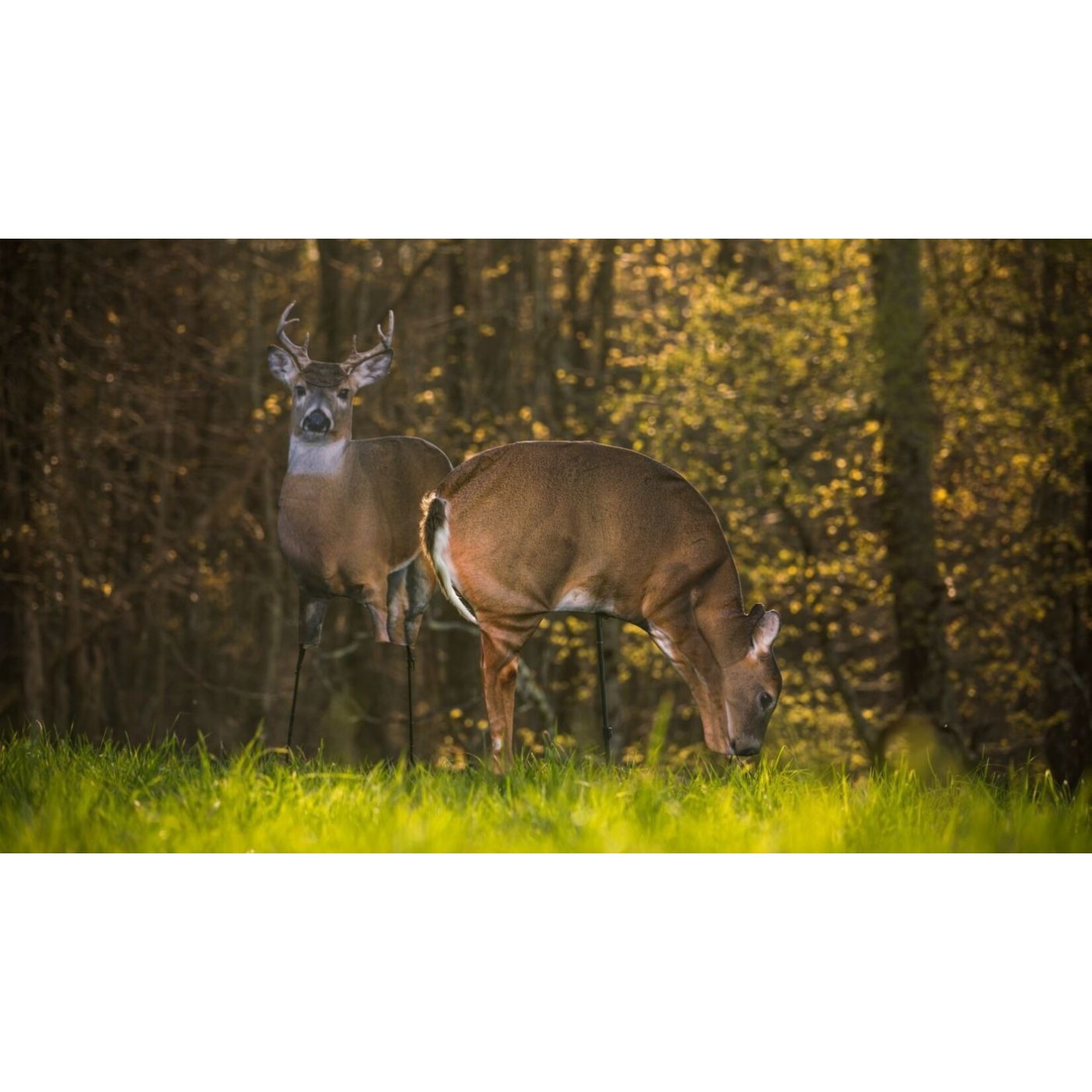 Montana Decoy Co. Montana Decoy Archer's Choice Plot Pack