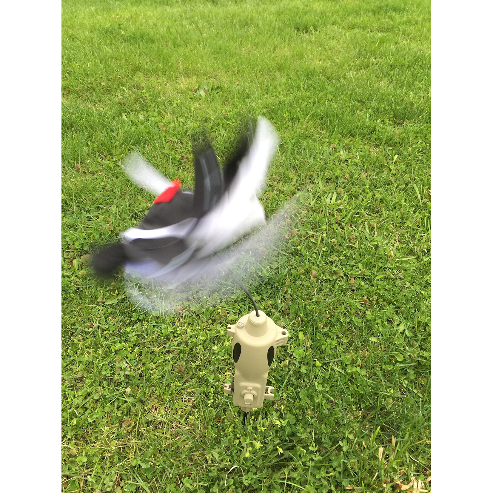 ICOtec IcoTec PD200 Adjustable Speed Electric Call Decoy