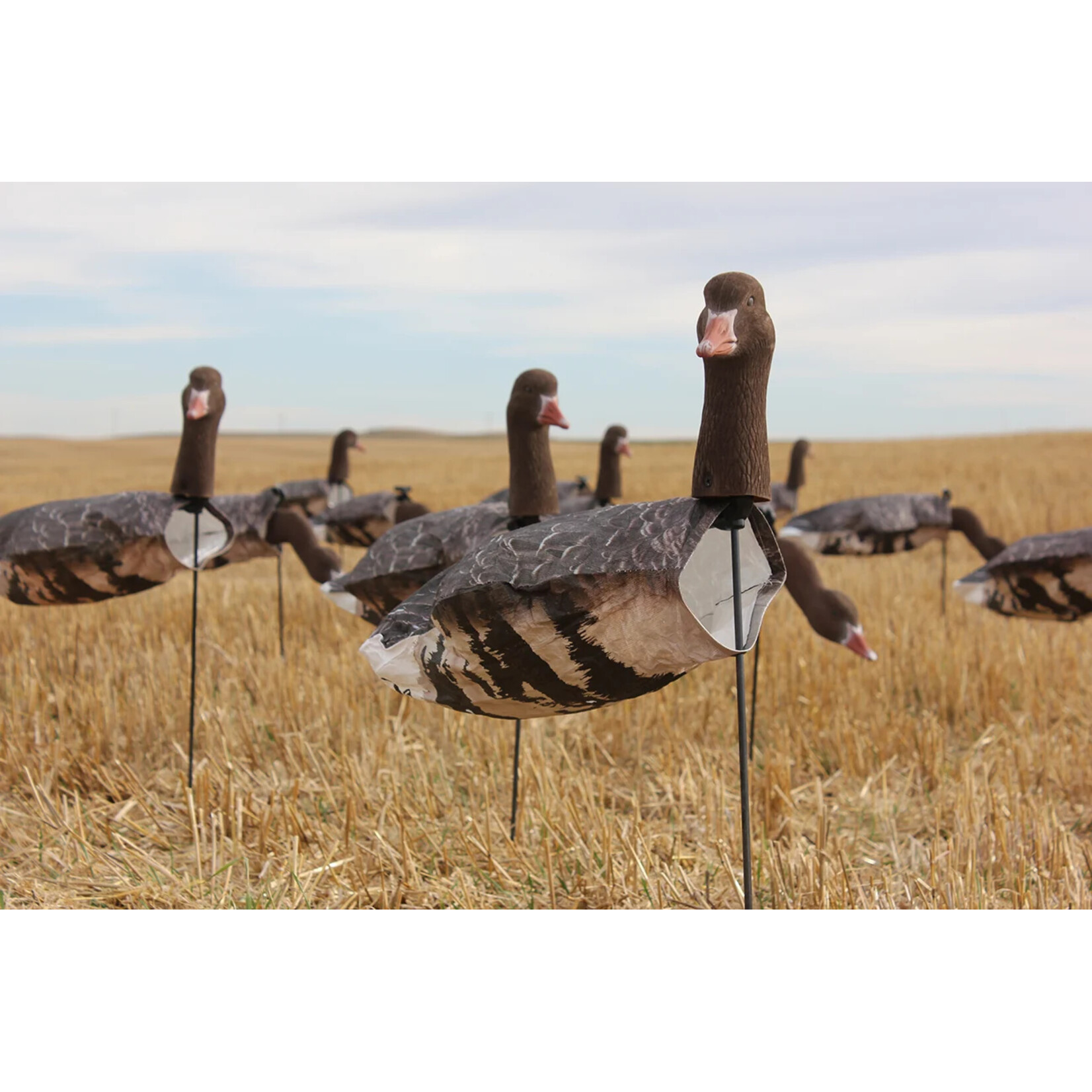Canada Goose Windsock Decoy Pack