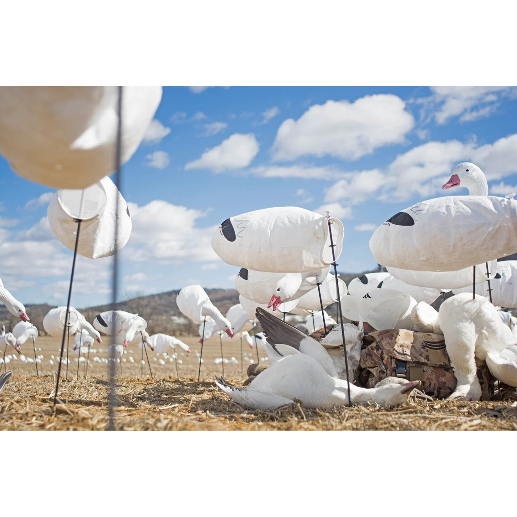 Goose Windsock Decoys- Snow Goose, 12pk