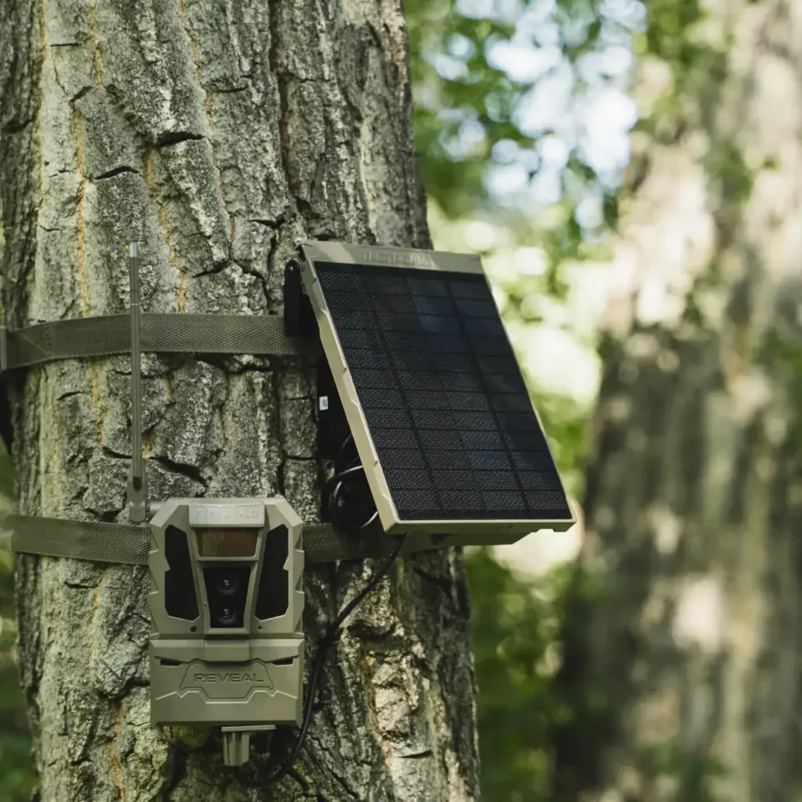 Tactacam Tactacam Reveal External Solar Panel R5