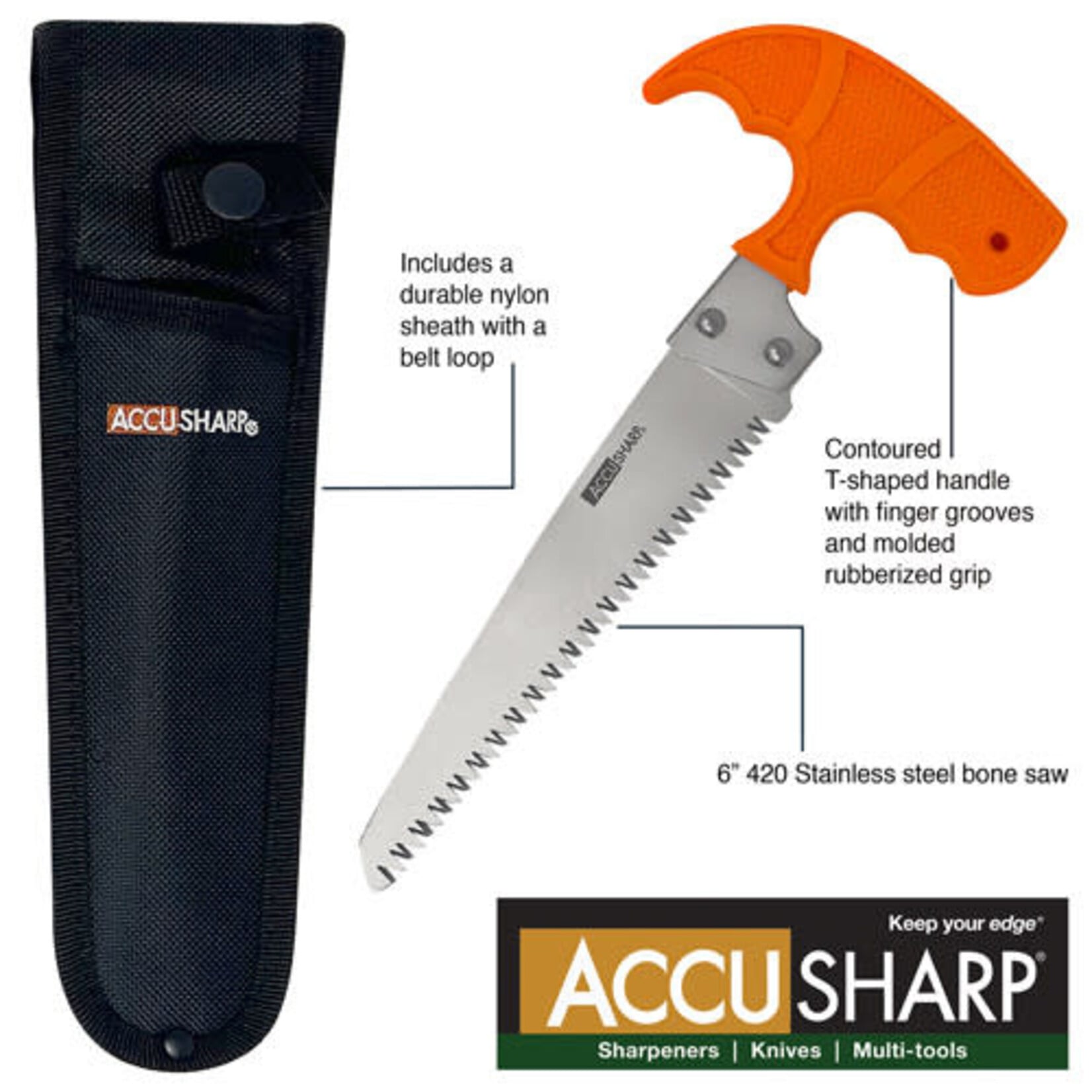 AccuSharp AccuSharp 6" Bone Saw W/ Sheath