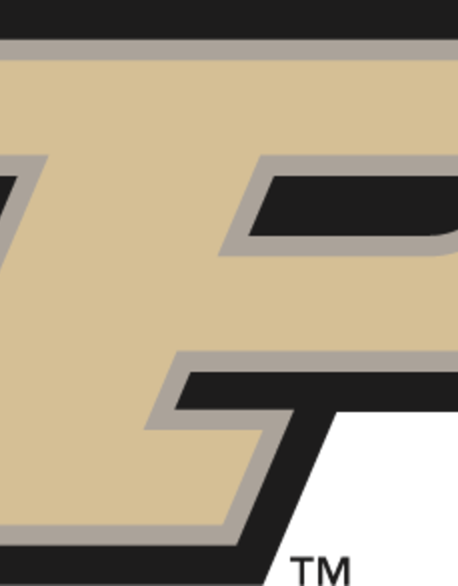 TITLEIST 2025 TITLEIST LOGO BALL SLEEVE