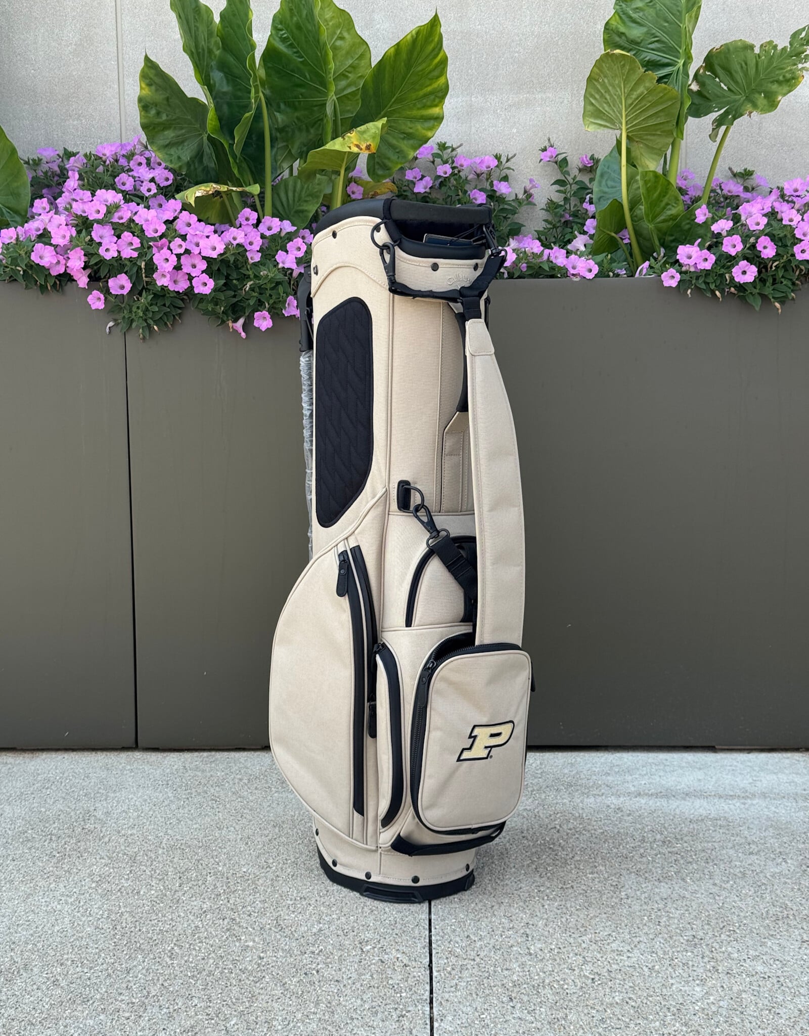 CALLAWAY CG SUMMIT PREMIUM