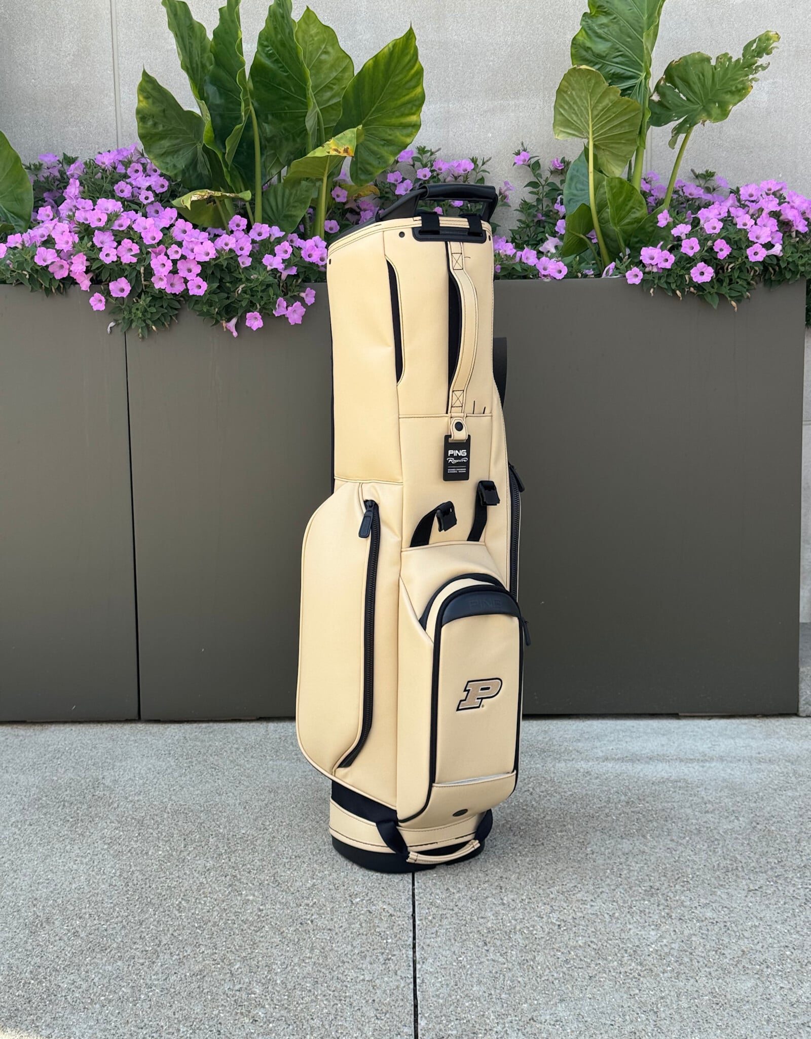 PING PING 254 RESERVE STAND BAG