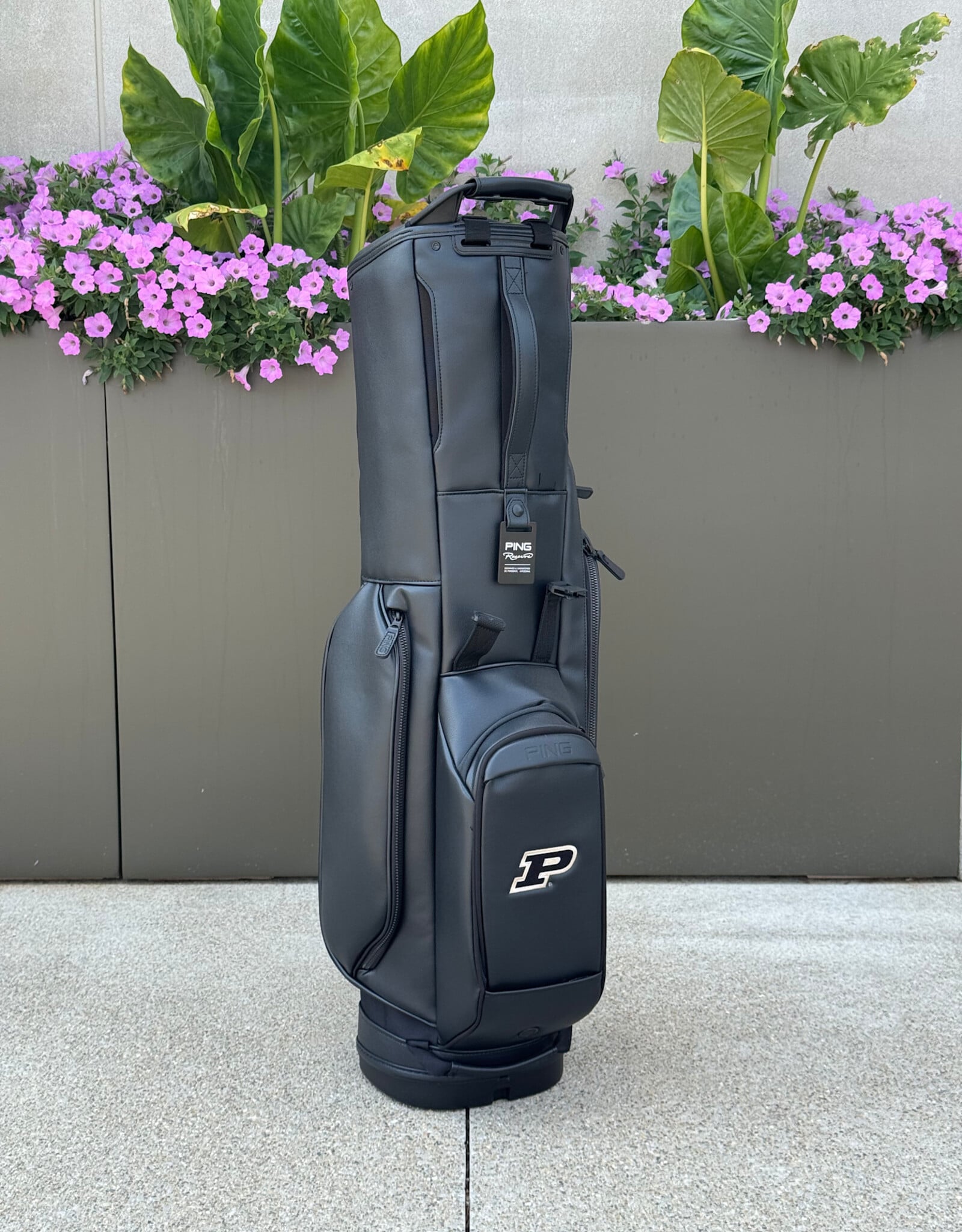PING PING 254 RESERVE STAND BAG