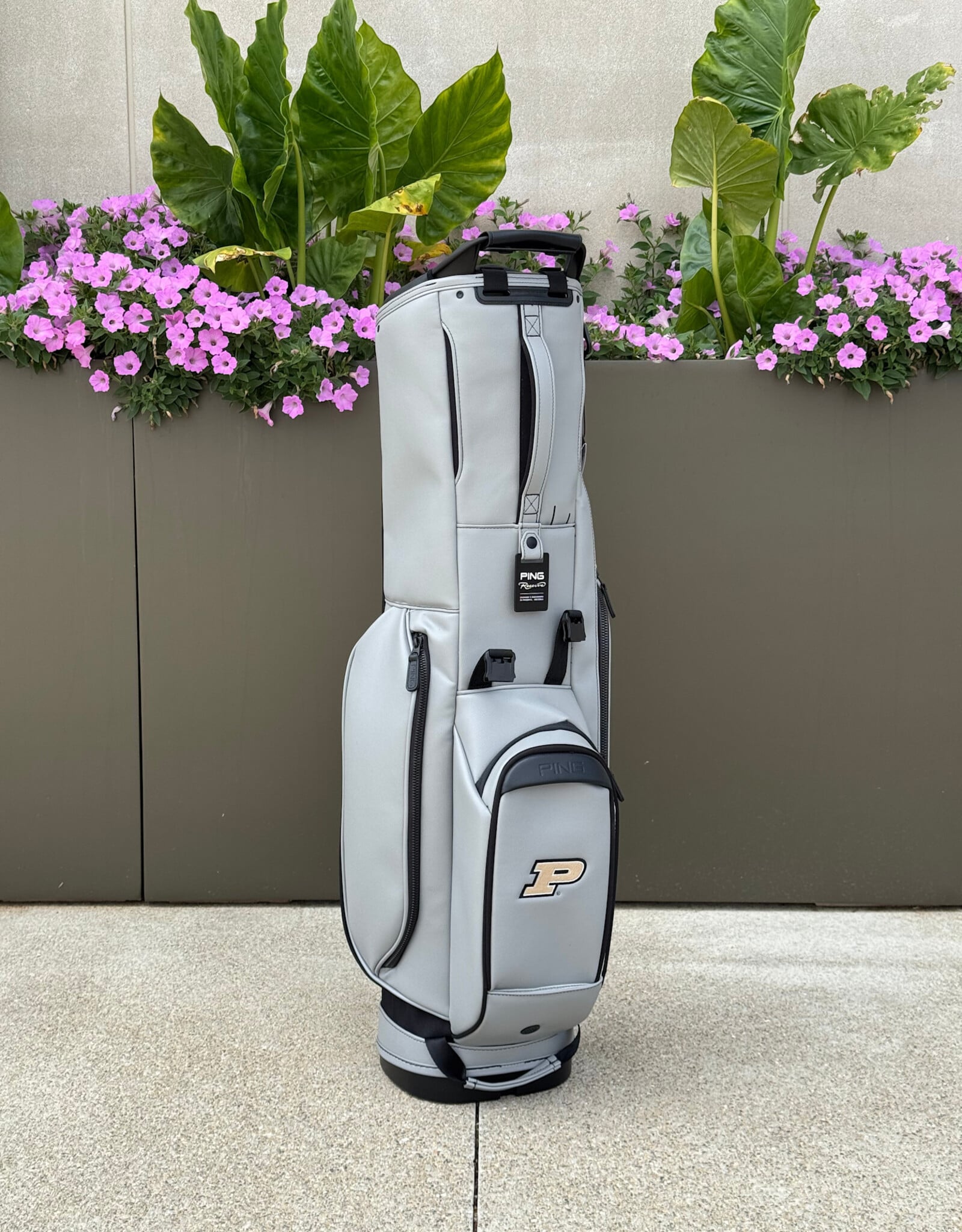 PING PING 254 RESERVE STAND BAG