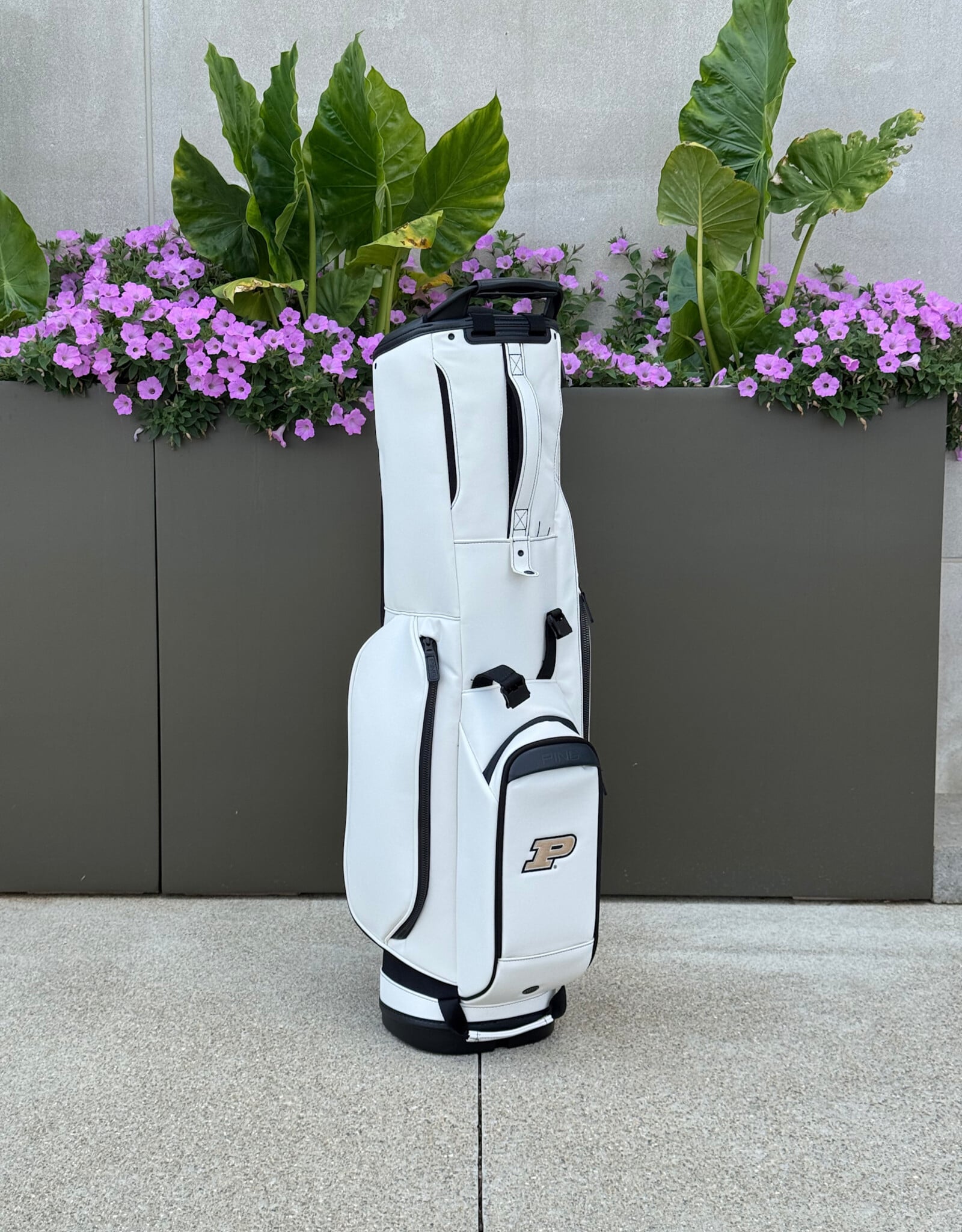 PING PING 254 RESERVE STAND BAG